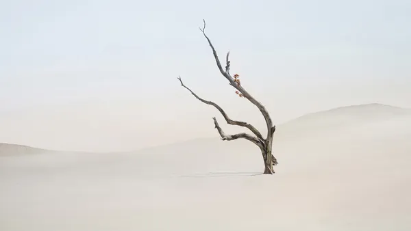 Arte surreal