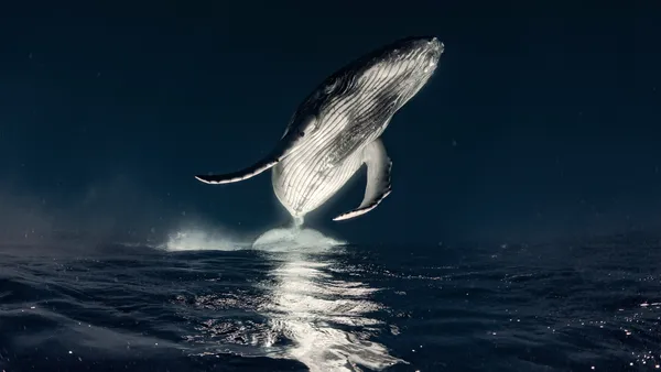 Oceano