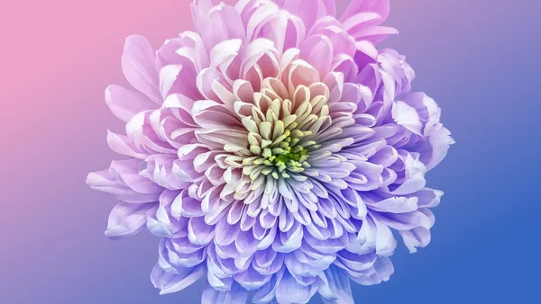 Cores pastel
