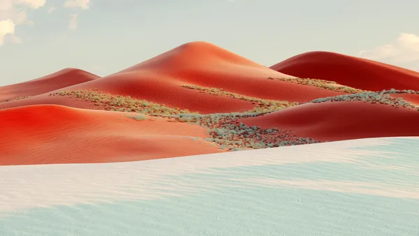 Dunas