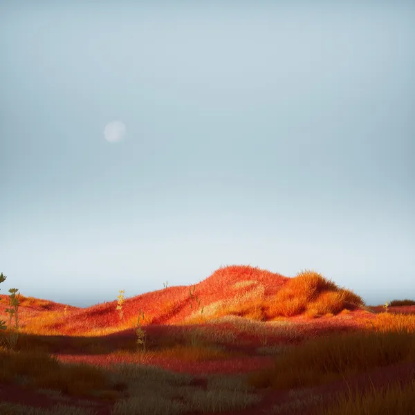 Nascer da lua
