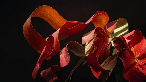 Arte em papel