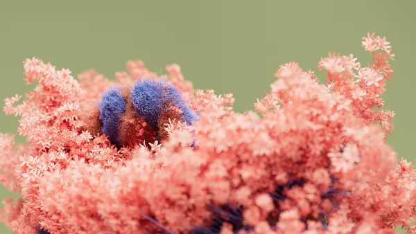 Macro
