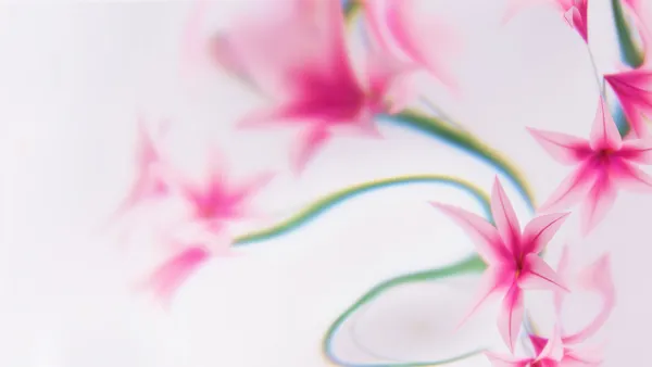 Designs florais