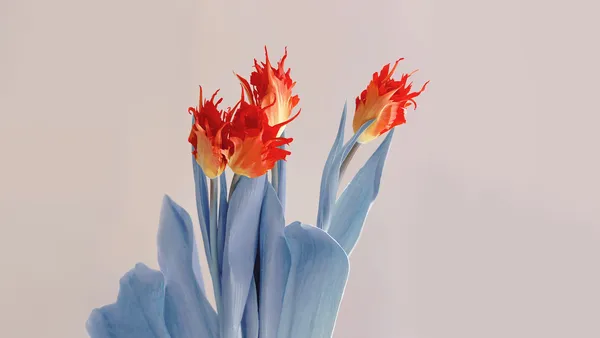 Flor vermelha