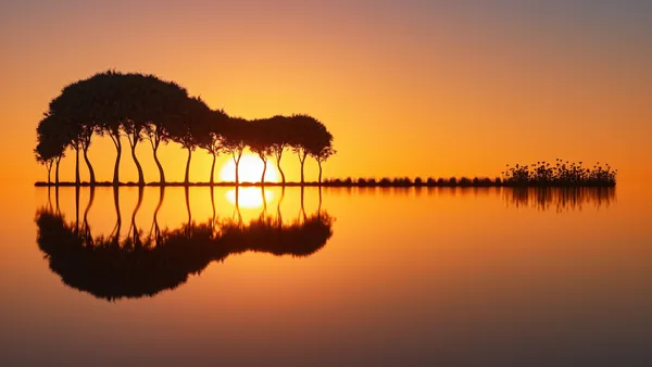 Reflexos