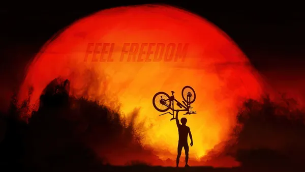Bicicletas