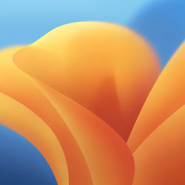 Retina