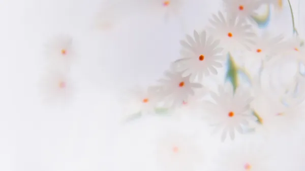 Fundo floral