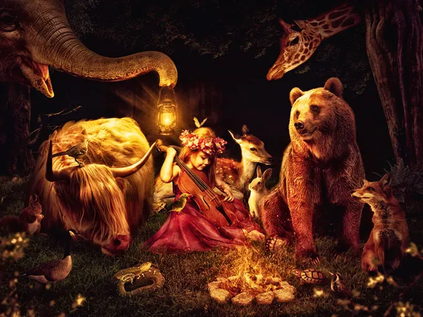 Coelhos