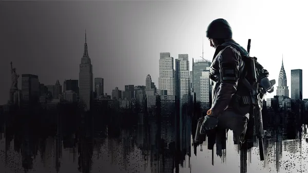 The Division