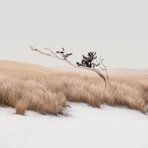 Paisagens