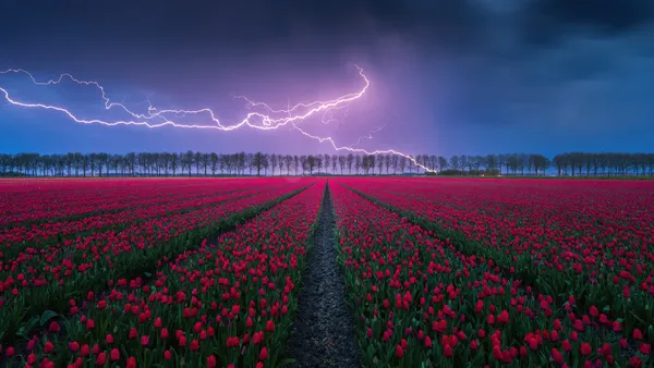 Tempestade