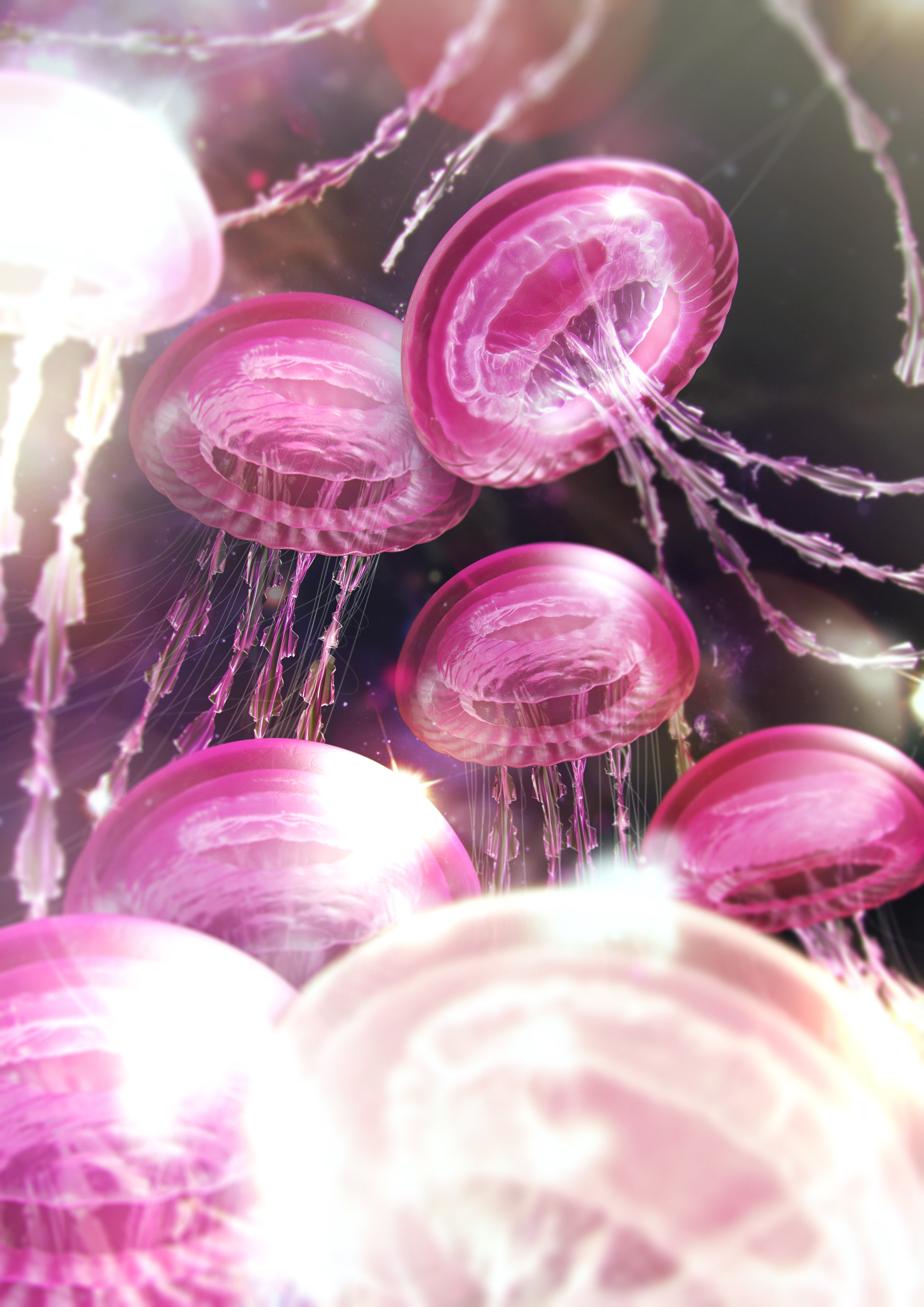 Águas-vivas, Estética rosa, Surreal, 5K