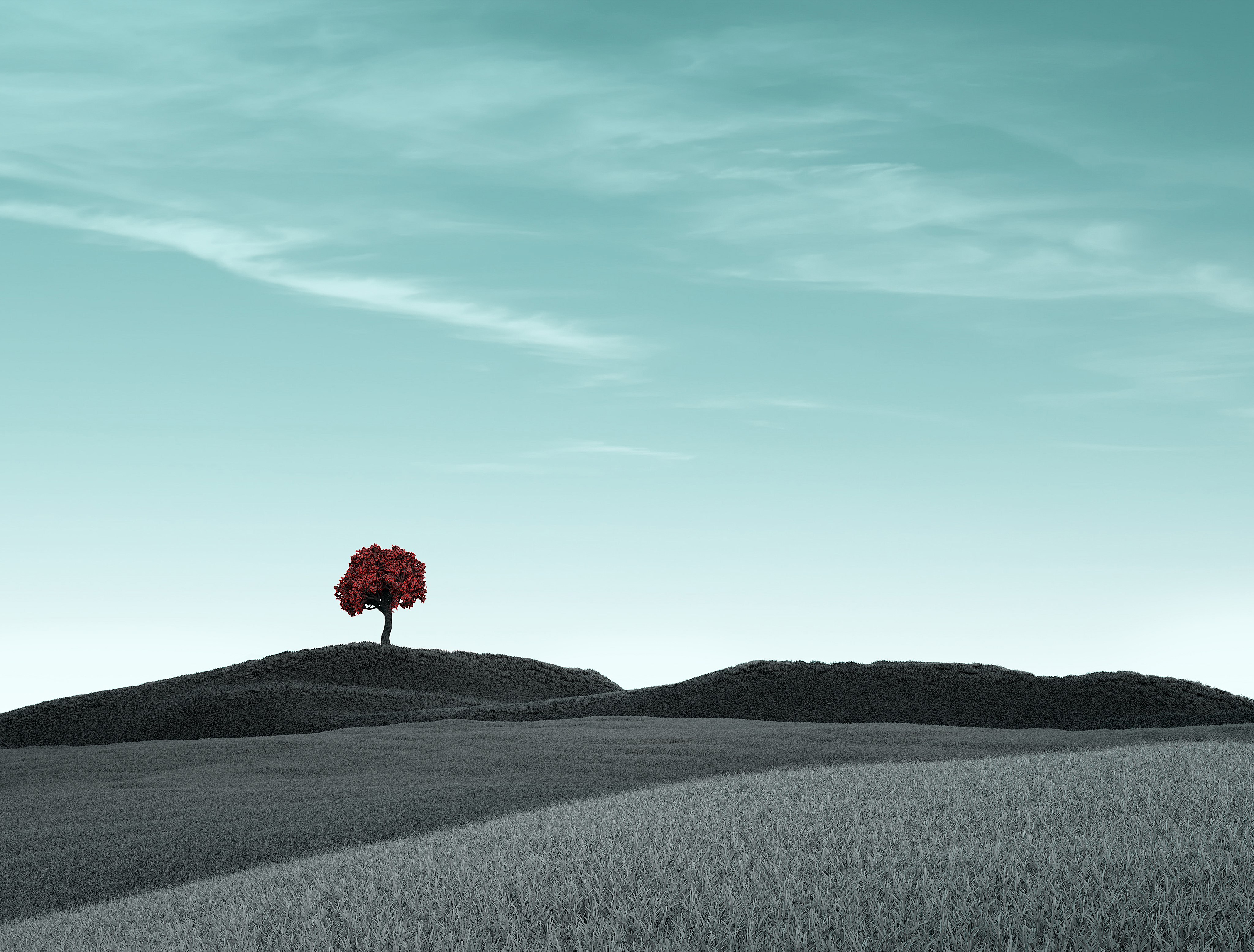Árvore solitária, Céu limpo, Surreal, Campos secos, Paisagem