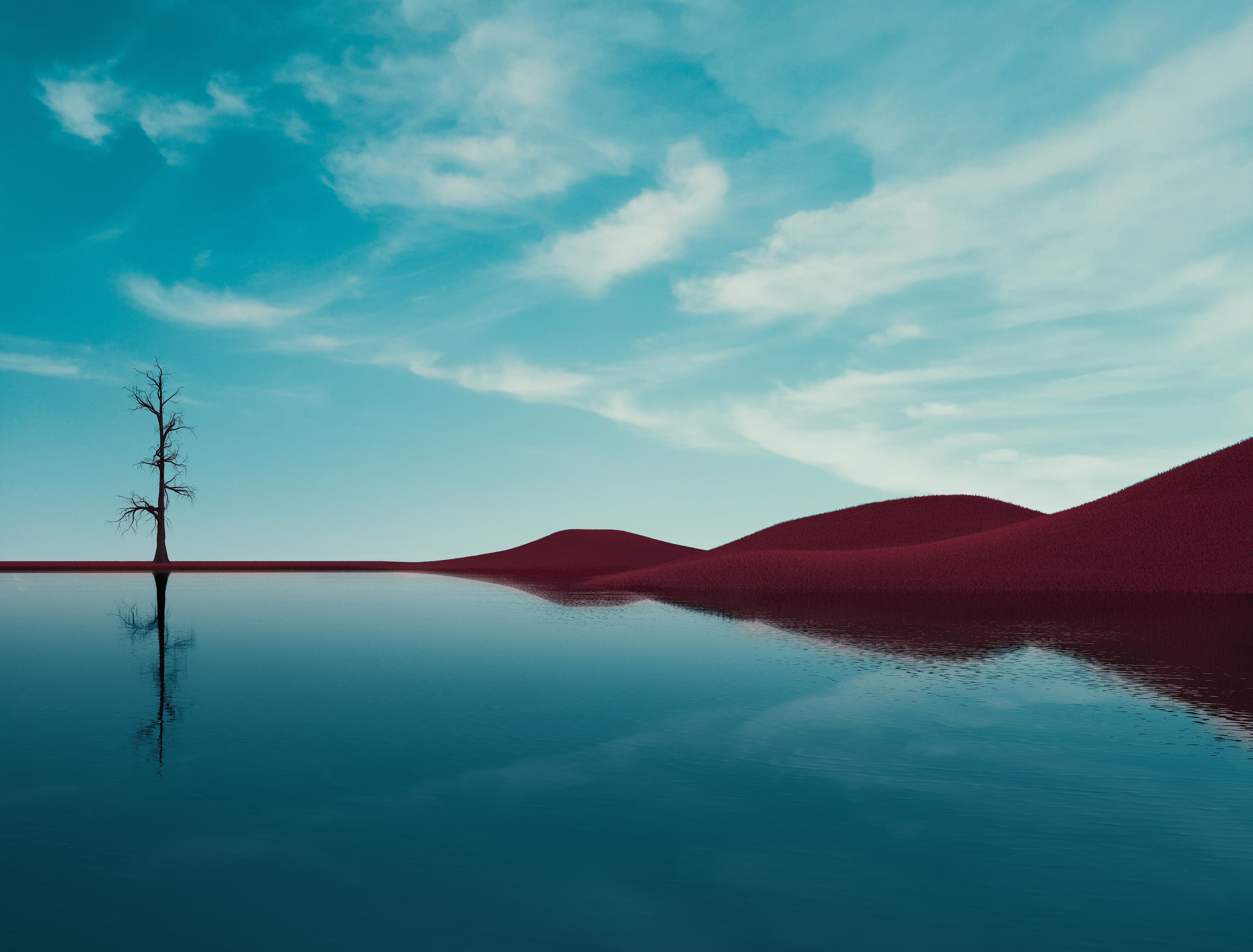 Árvore solitária, Lago, Campos secos, Céu limpo, Reflexos, Paisagem, Verão, Fusão
