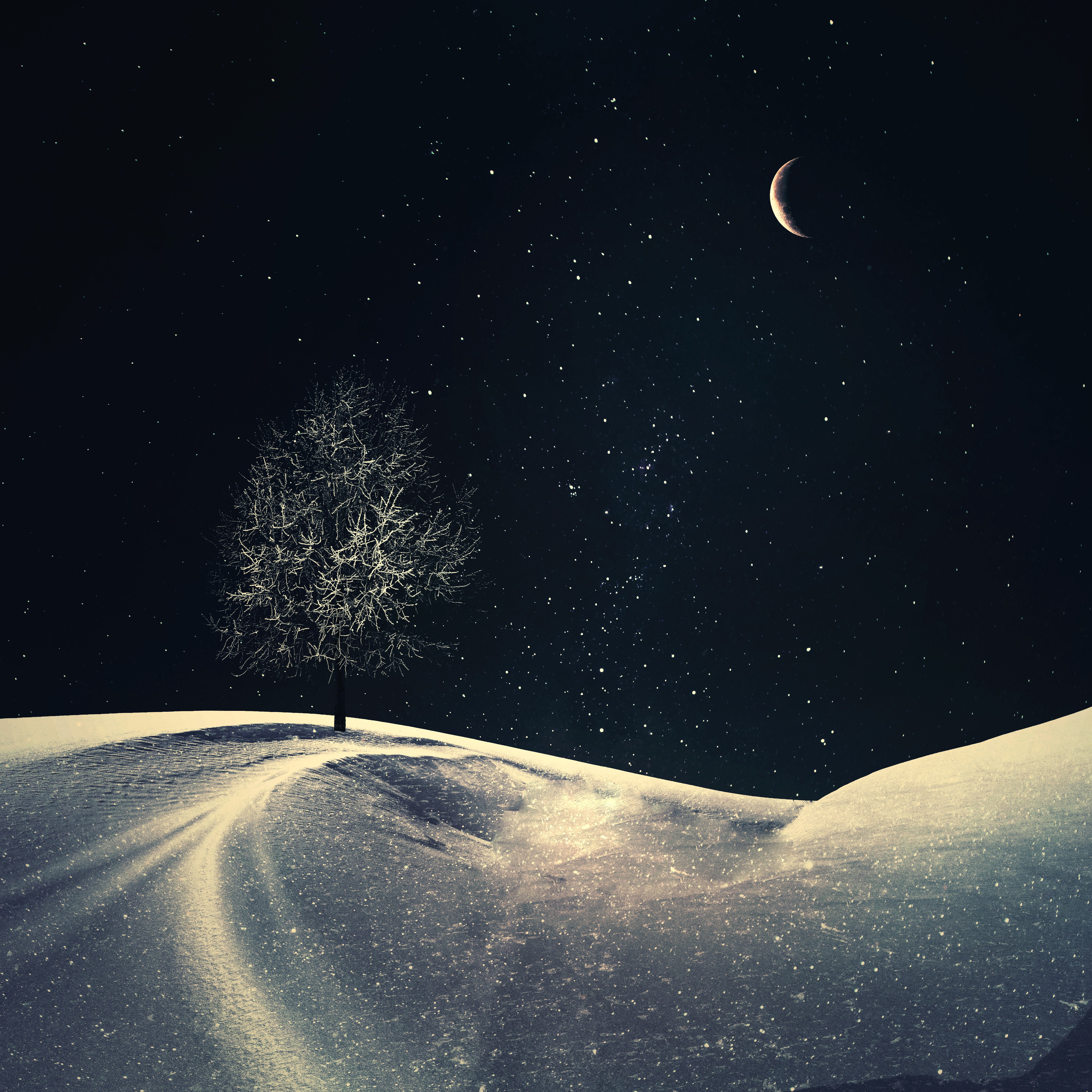 Árvore solitária, Lua crescente, Noite, Céu estrelado, Céu noturno, Inverno, Frio, Surreal, 5K