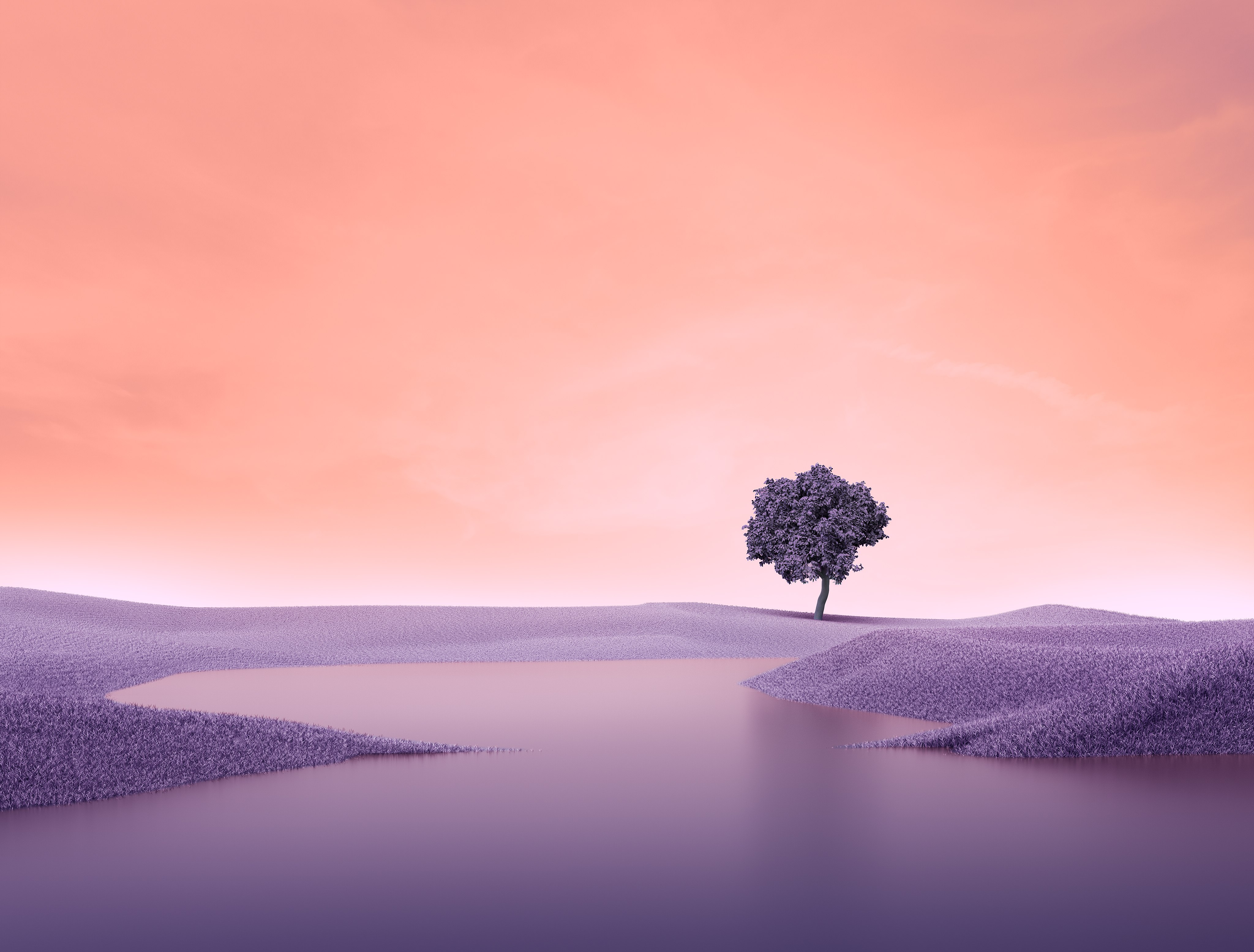 Árvore solitária, Surreal, Paisagem, Primavera, Lago, Composição digital, Estética roxa