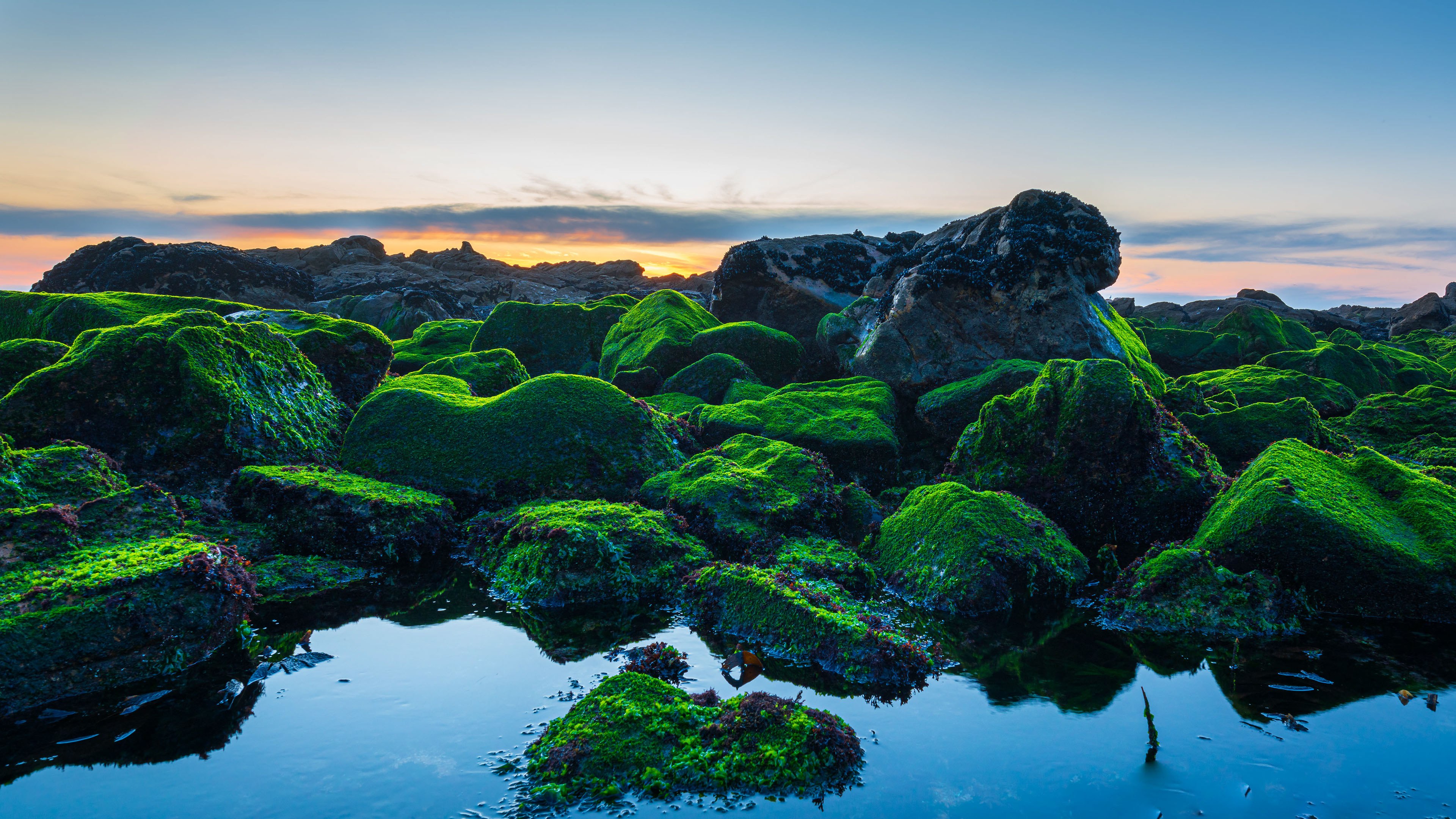 Beira-mar, Rochas verdes, Pôr do sol