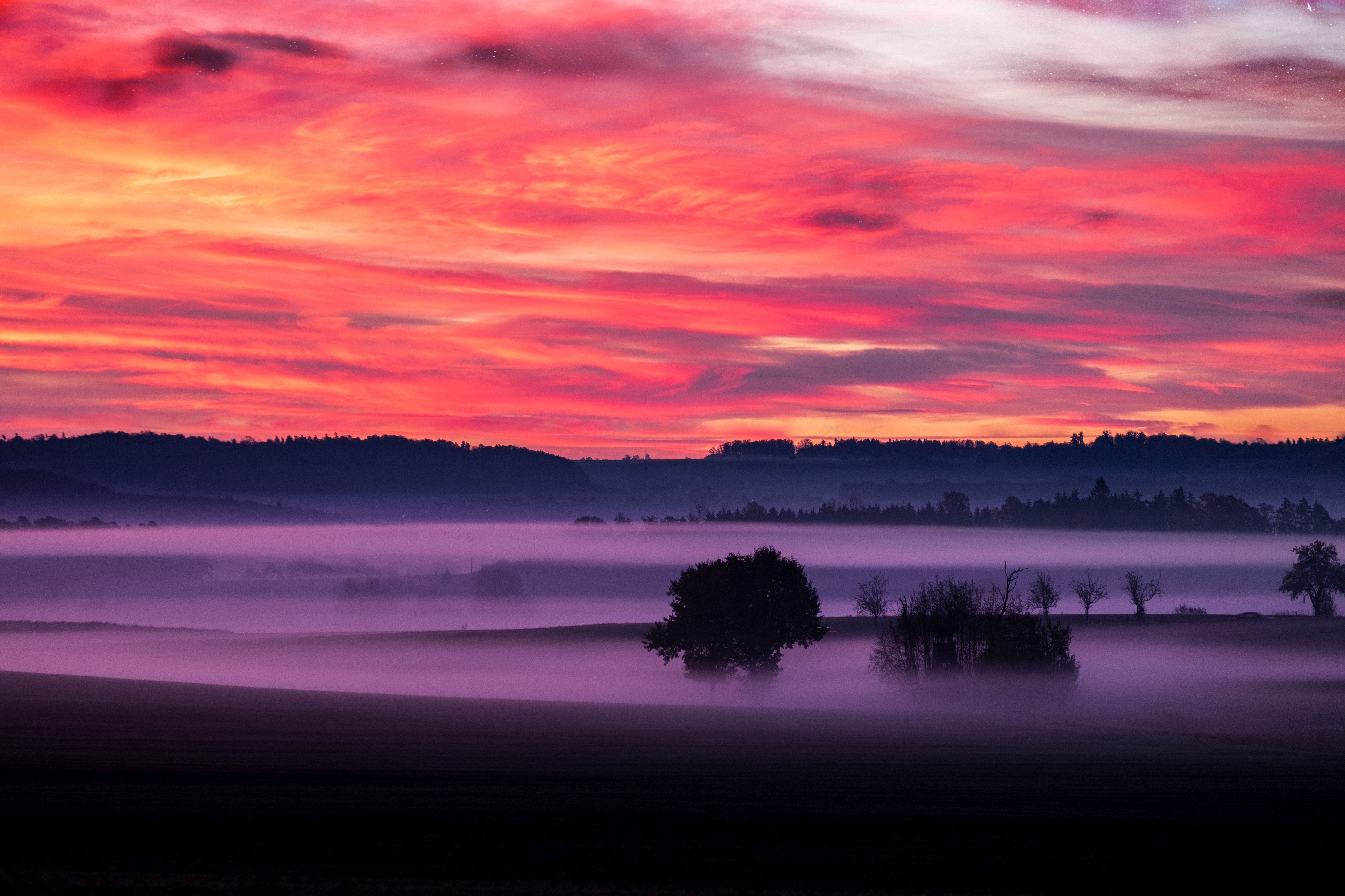 Céu laranja, Pôr do sol, Paisagem, Nebuloso, Cenário, Nuvens, Árvores, Silhueta, Amanhecer, 5K