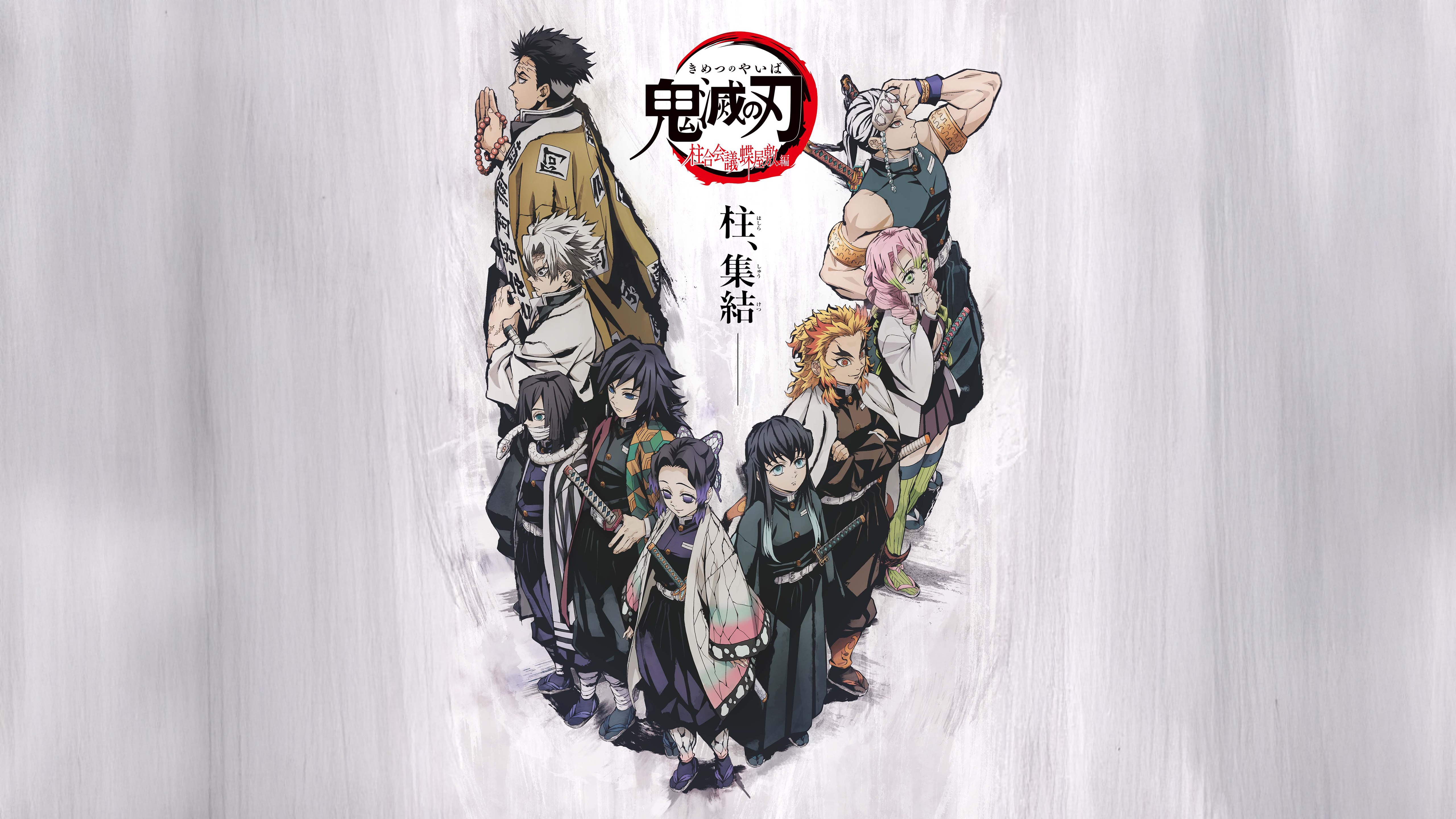 Demon Slayer: Kimetsu no Yaiba - The Hashira Meeting Arc, 5K, Filme de anime, Demon Slayer: Kimetsu no Yaiba