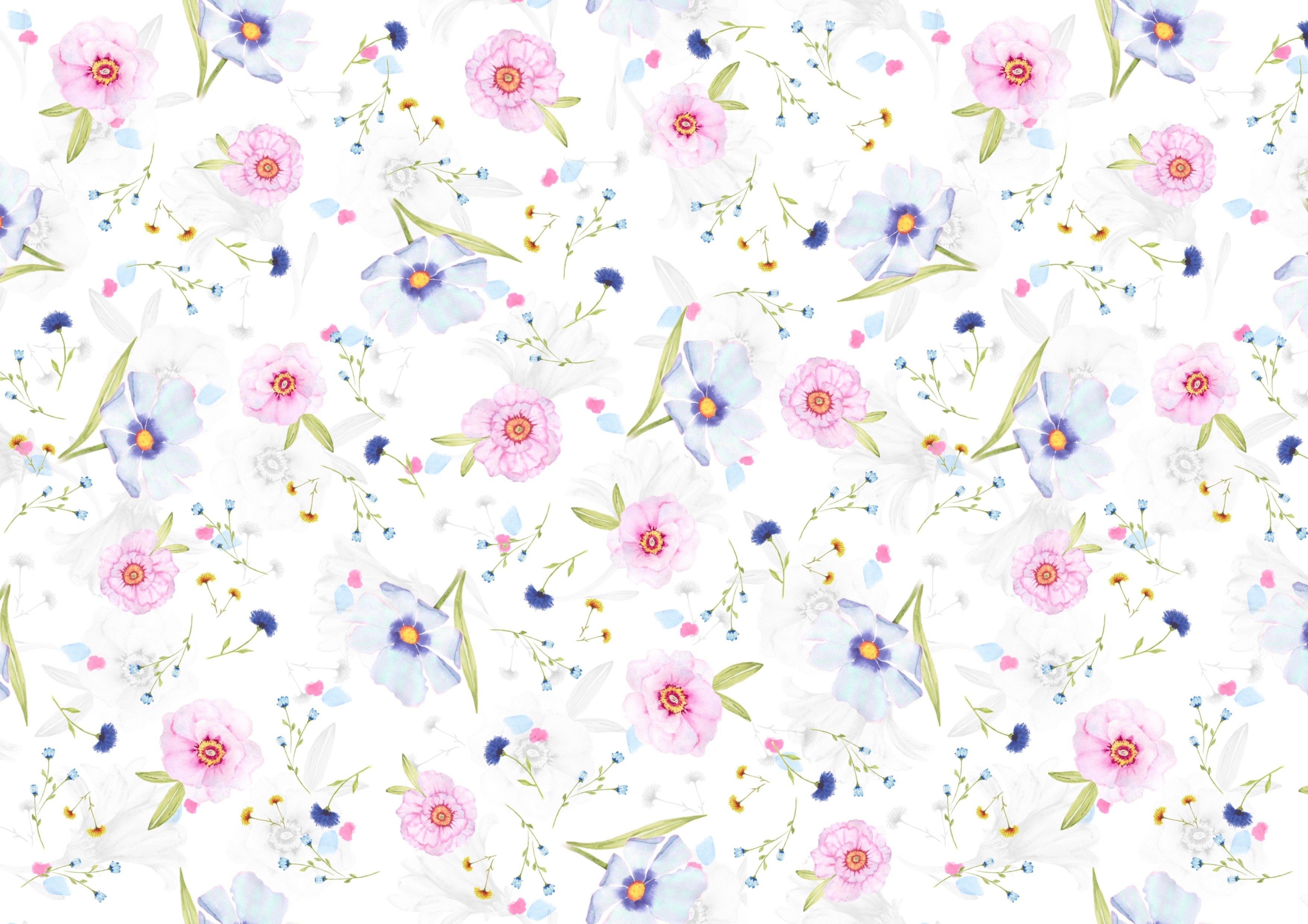 Designs florais, Fundo branco, Padrões florais, Fundos femininos, Floral, Flores rosas
