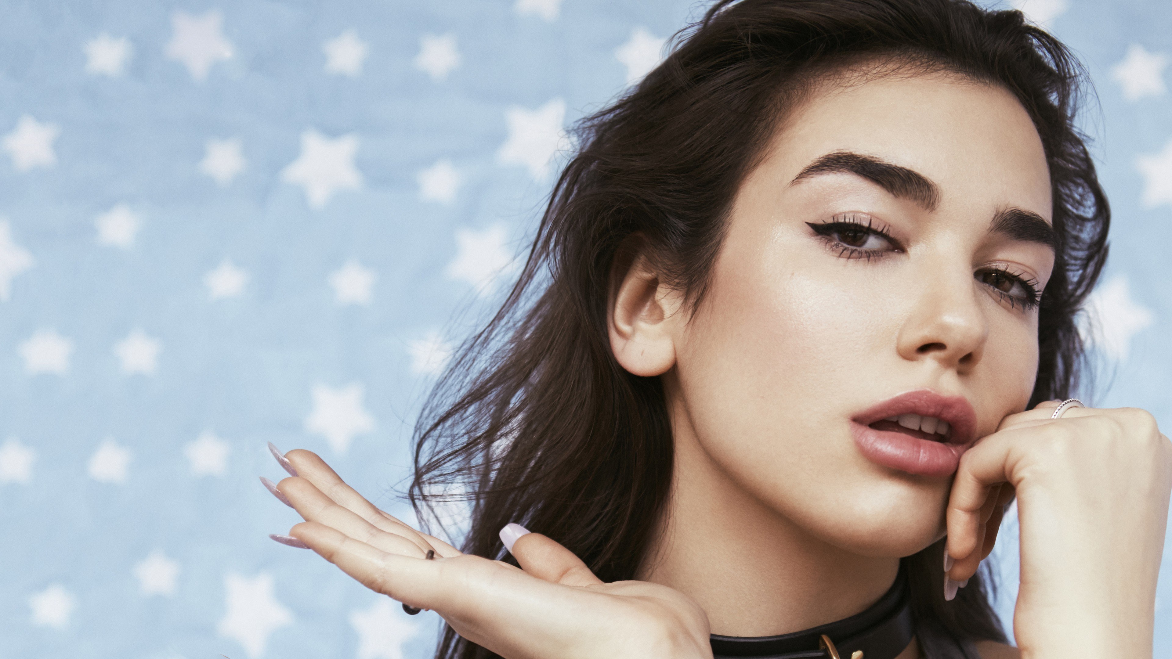 Dua Lipa, Retrato, Cantora albanesa