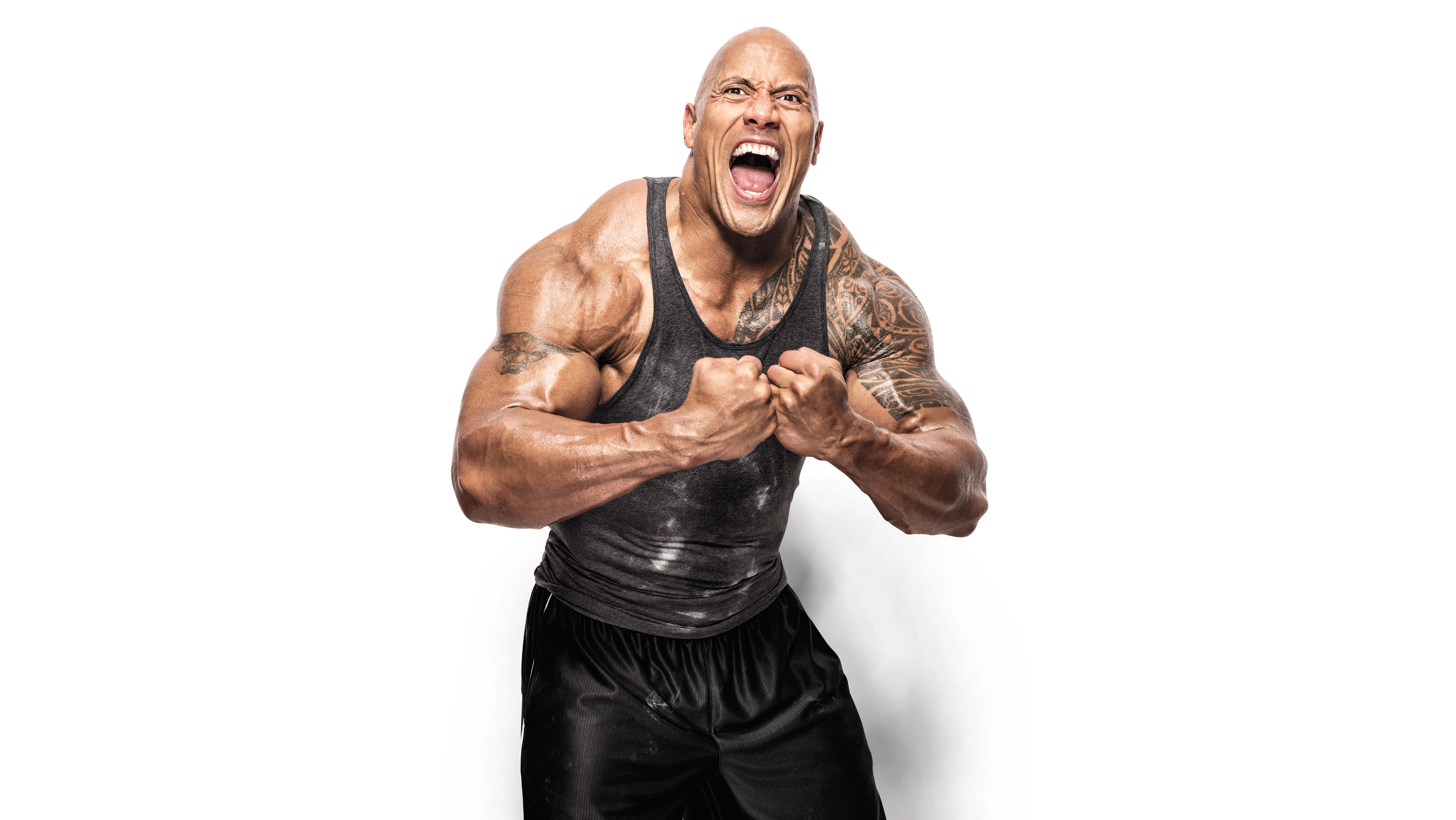 Dwayne Johnson, WWE Superstars, Lutador de WWE, 5K, 8K, Fundo branco