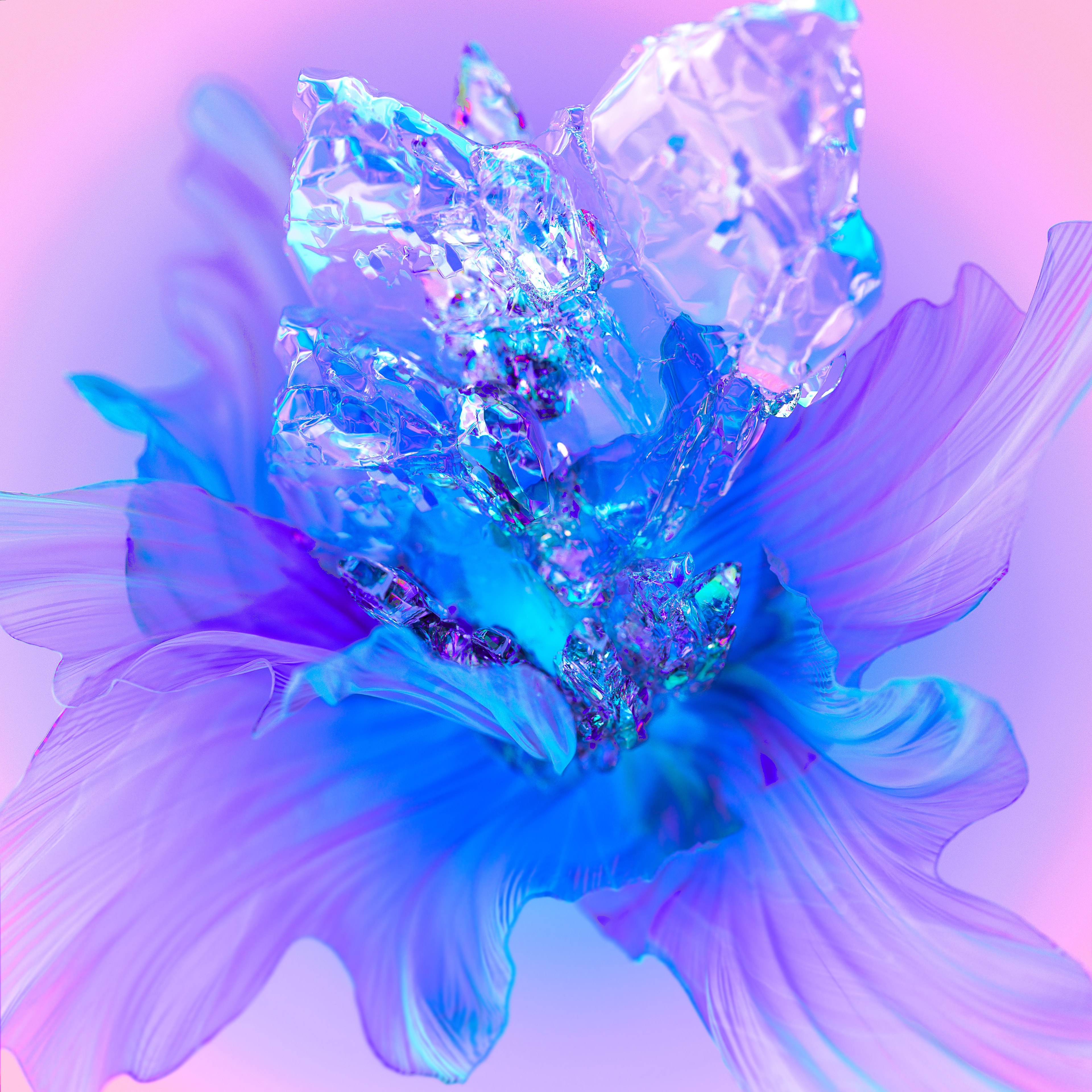 Flor roxa, Arte digital, Fundo floral, Colorido, Fundo 3D