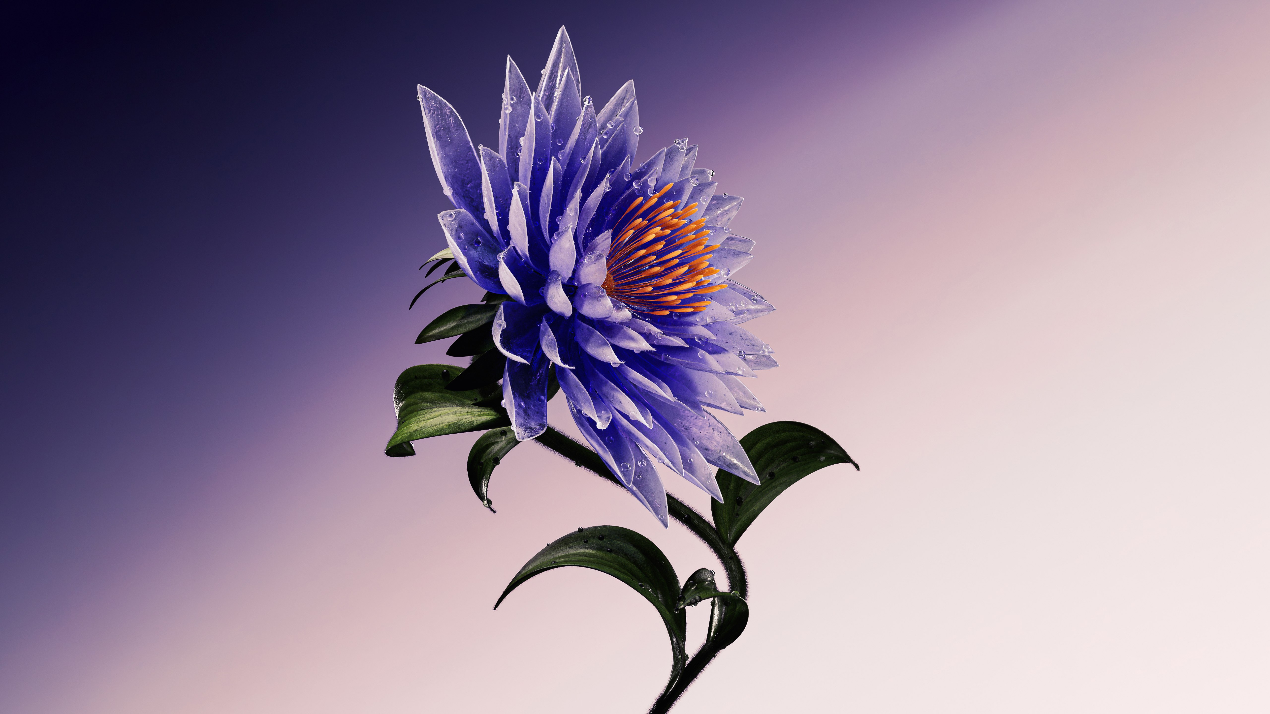 Flor roxa, Artístico, Arte digital, 5K, Azul-escuro