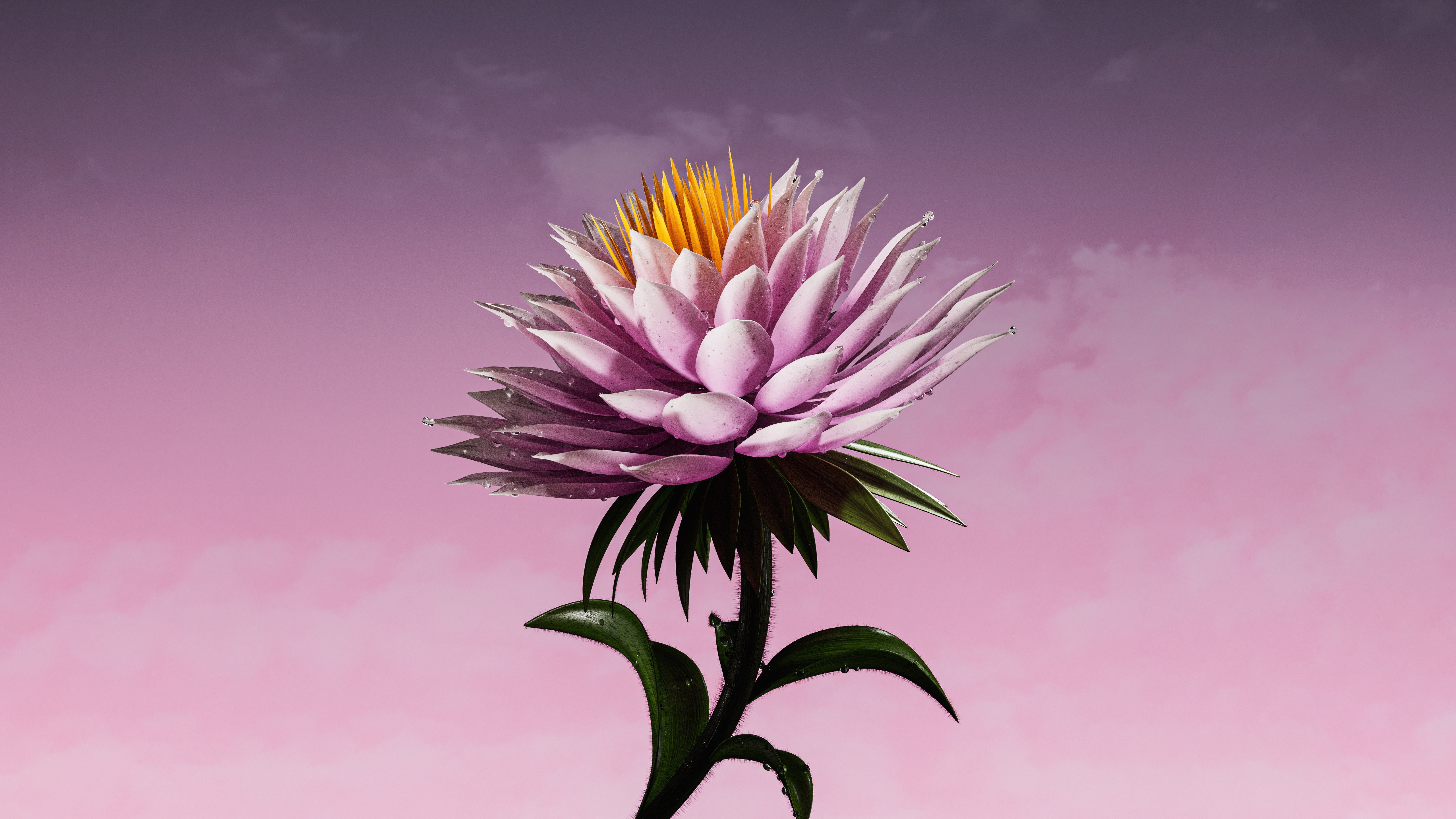 Flor roxa, Bloom, Flor digital, Estética roxa, Fundo roxo, 5K