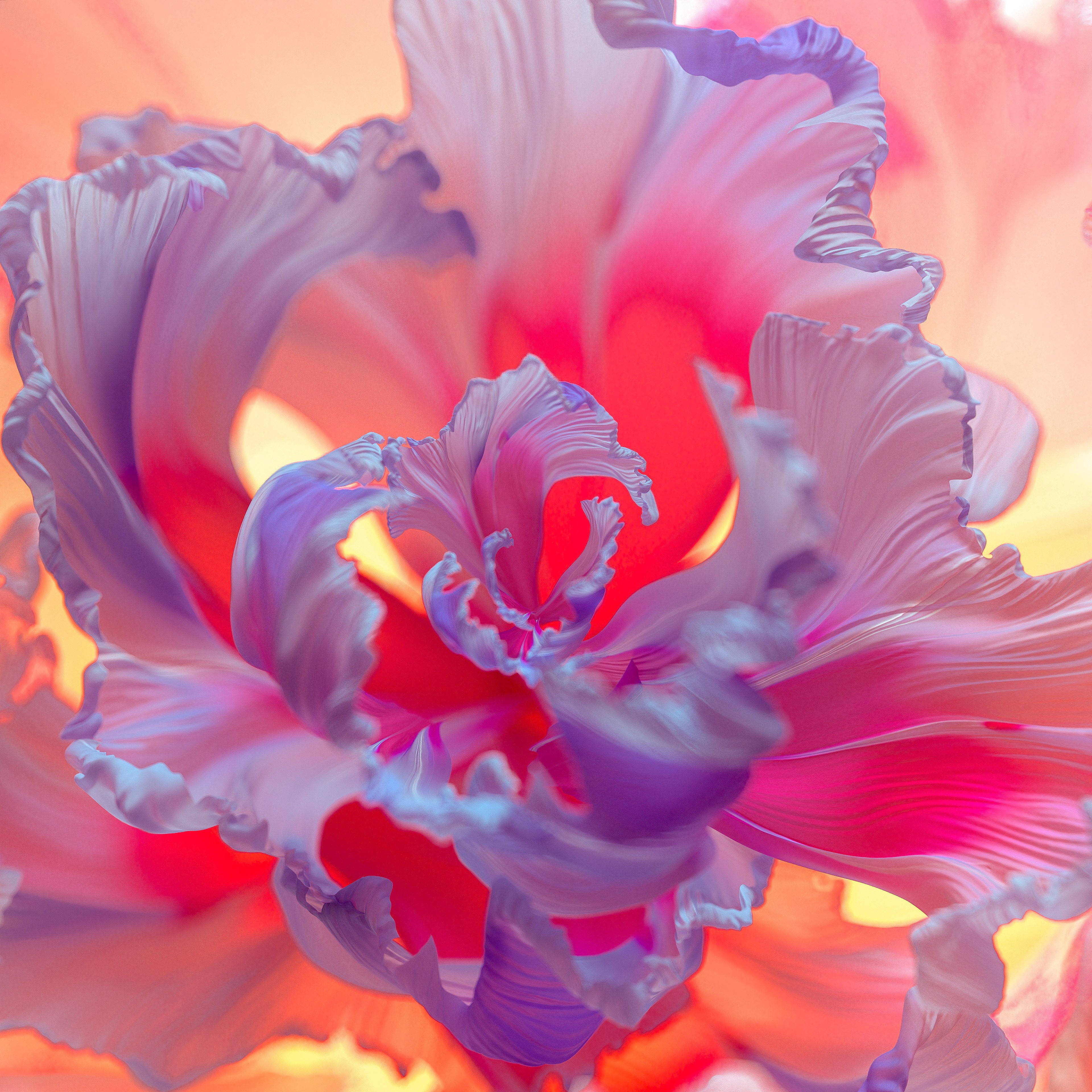 Flor roxa, Fundo floral, Colorido, Arte digital