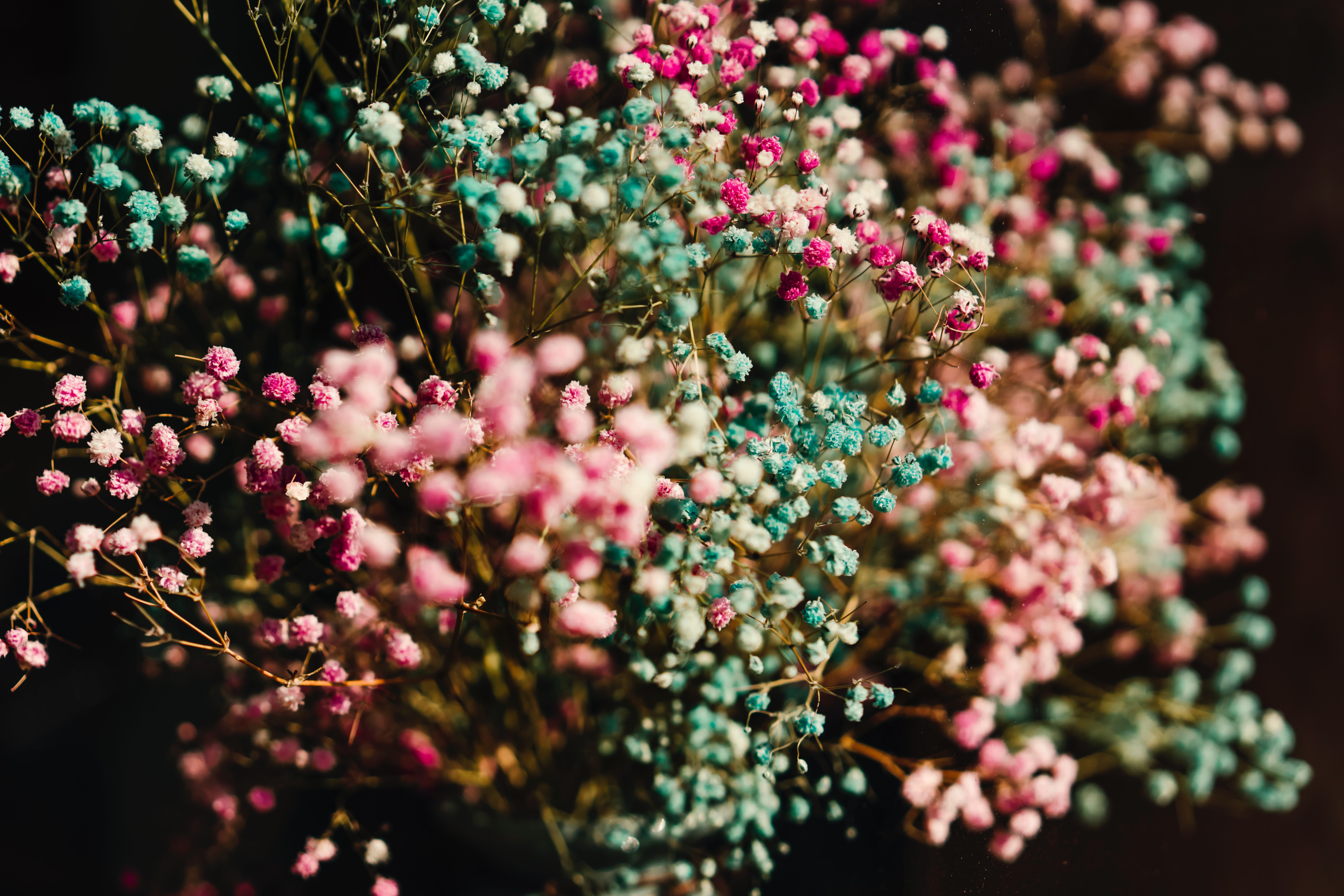 Flores coloridas, Buquê de flores, Floração, 5K, 8K