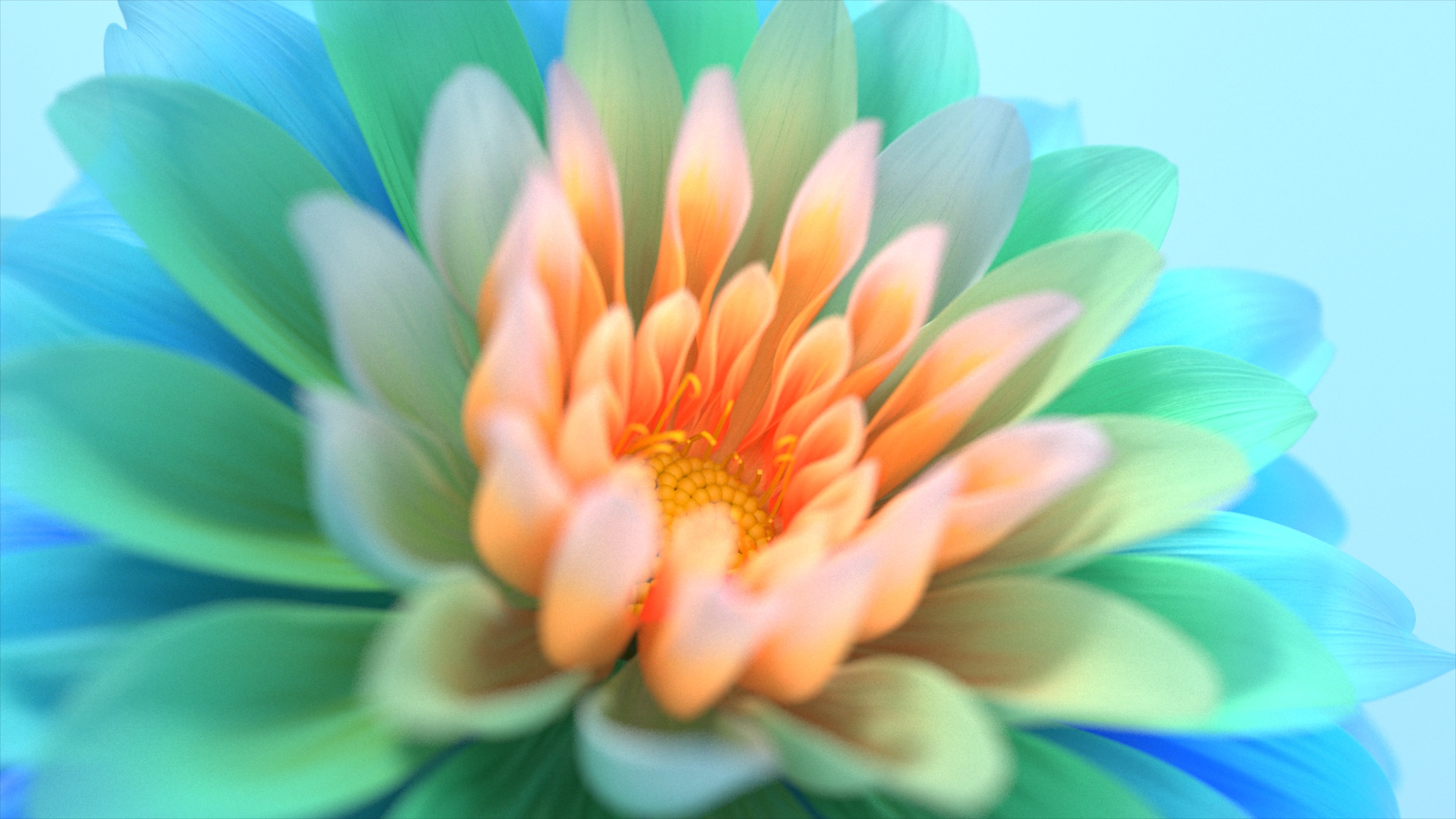 Flores coloridas, Close-up, Macro, Florescer, Arte digital