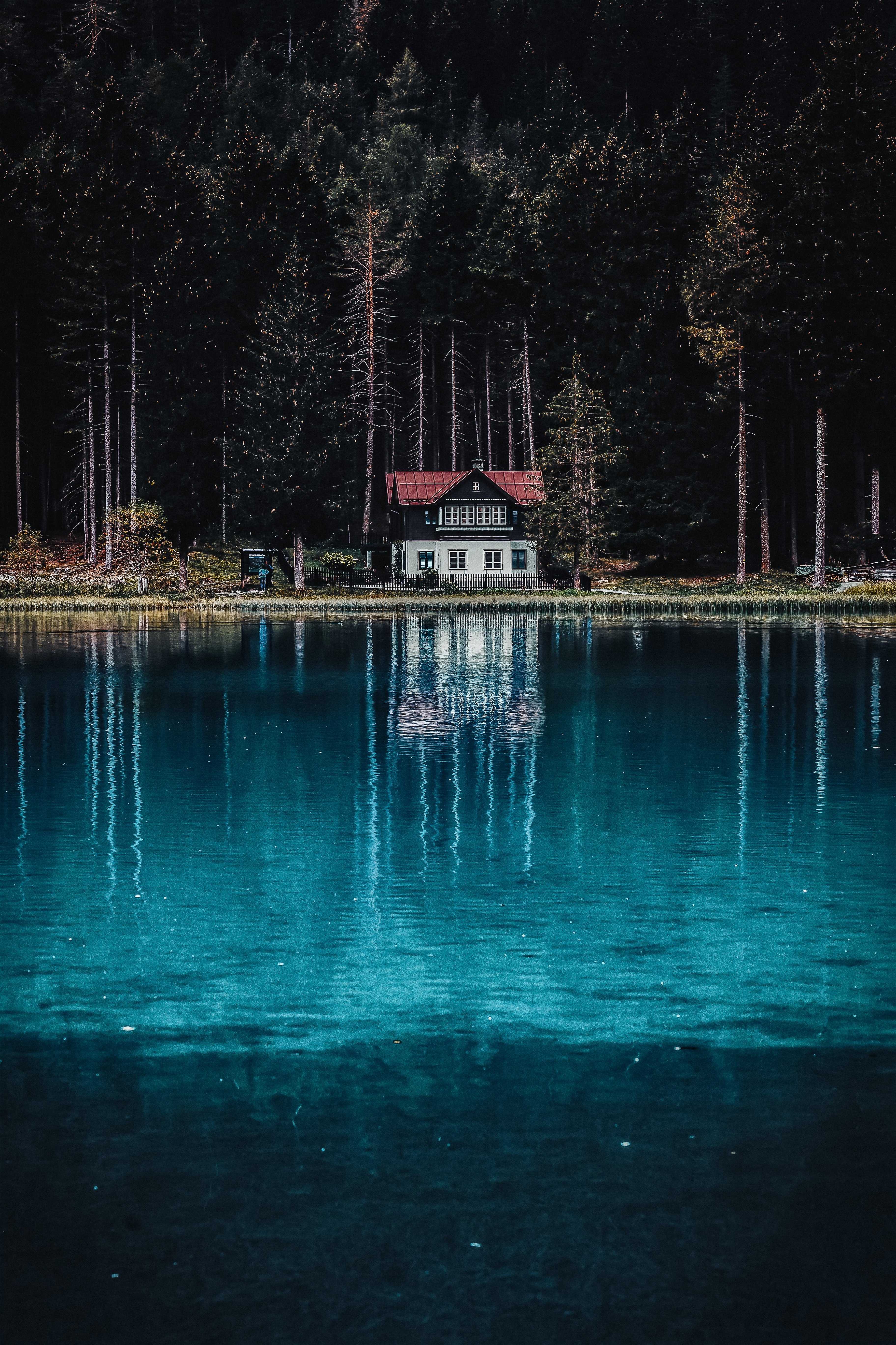 Floresta escura, Casa, Árvores altas, Bosque, Lago, Corpo d'água, Reflexo, Paisagem, Cenário, 5K