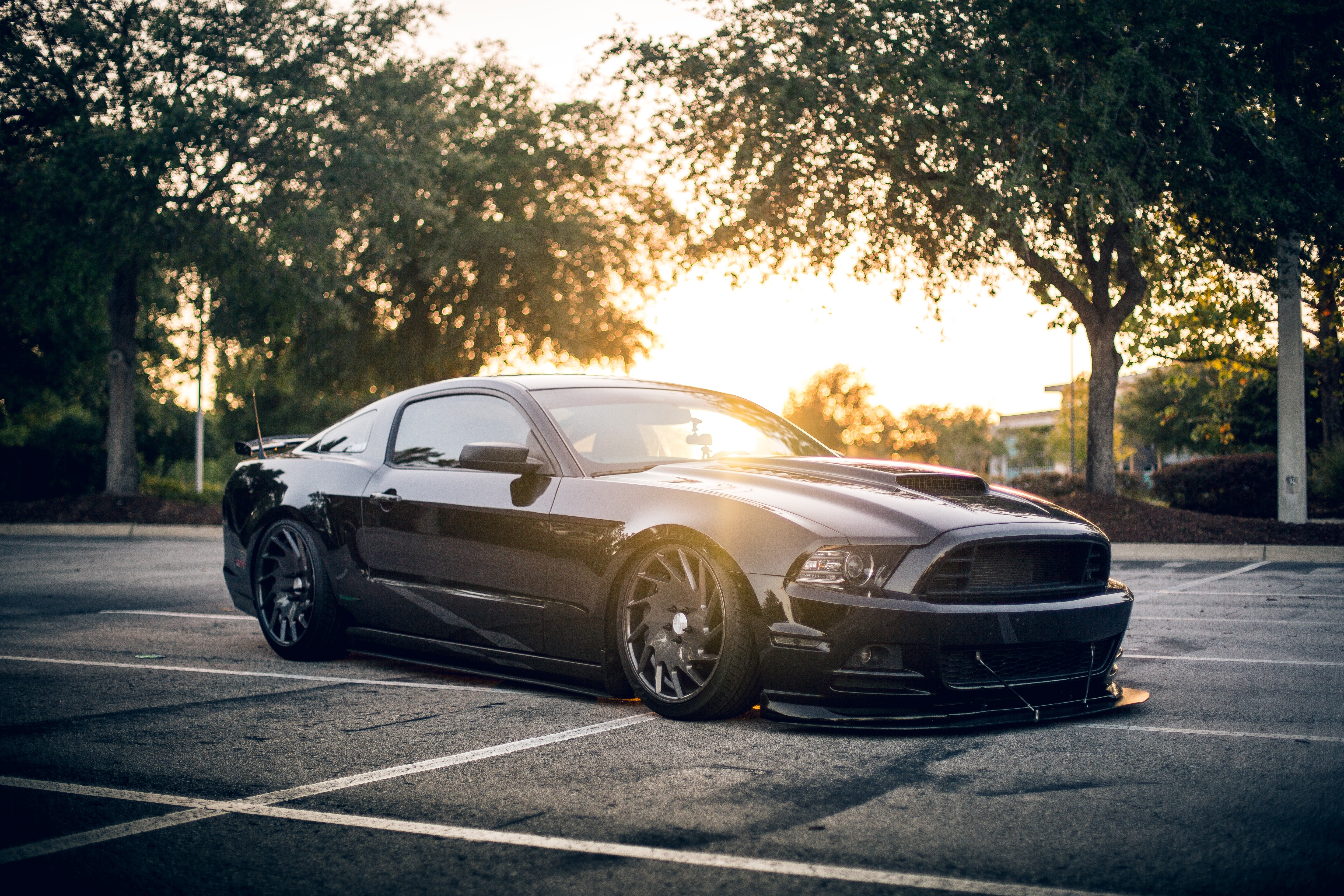 Ford Mustang GT, Carros pretos, Carros esportivos, Automóvel, Sedã, Luz do sol, 5K