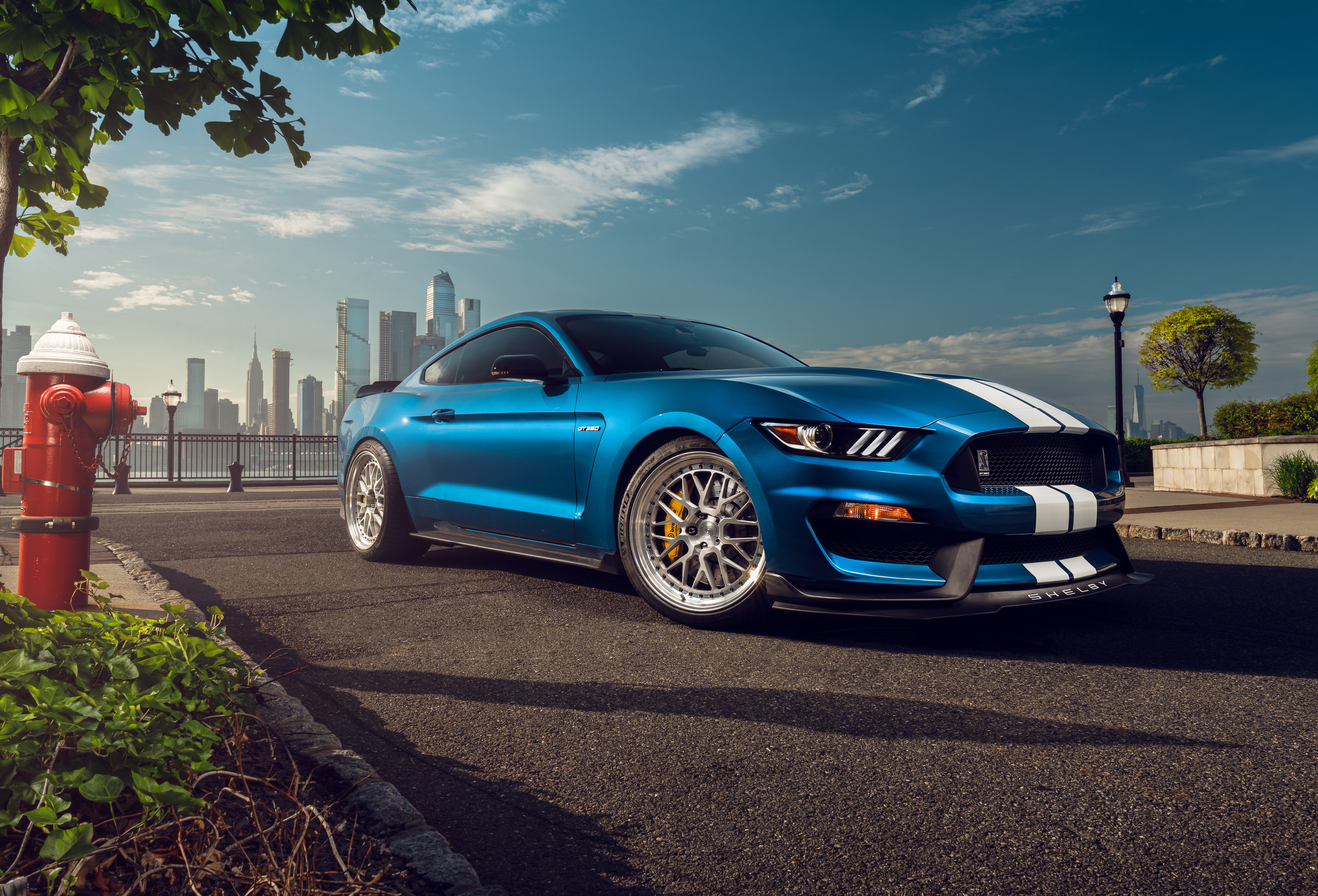 Ford Mustang Shelby GT350, 8K, Carros esportivos muscle, 5K
