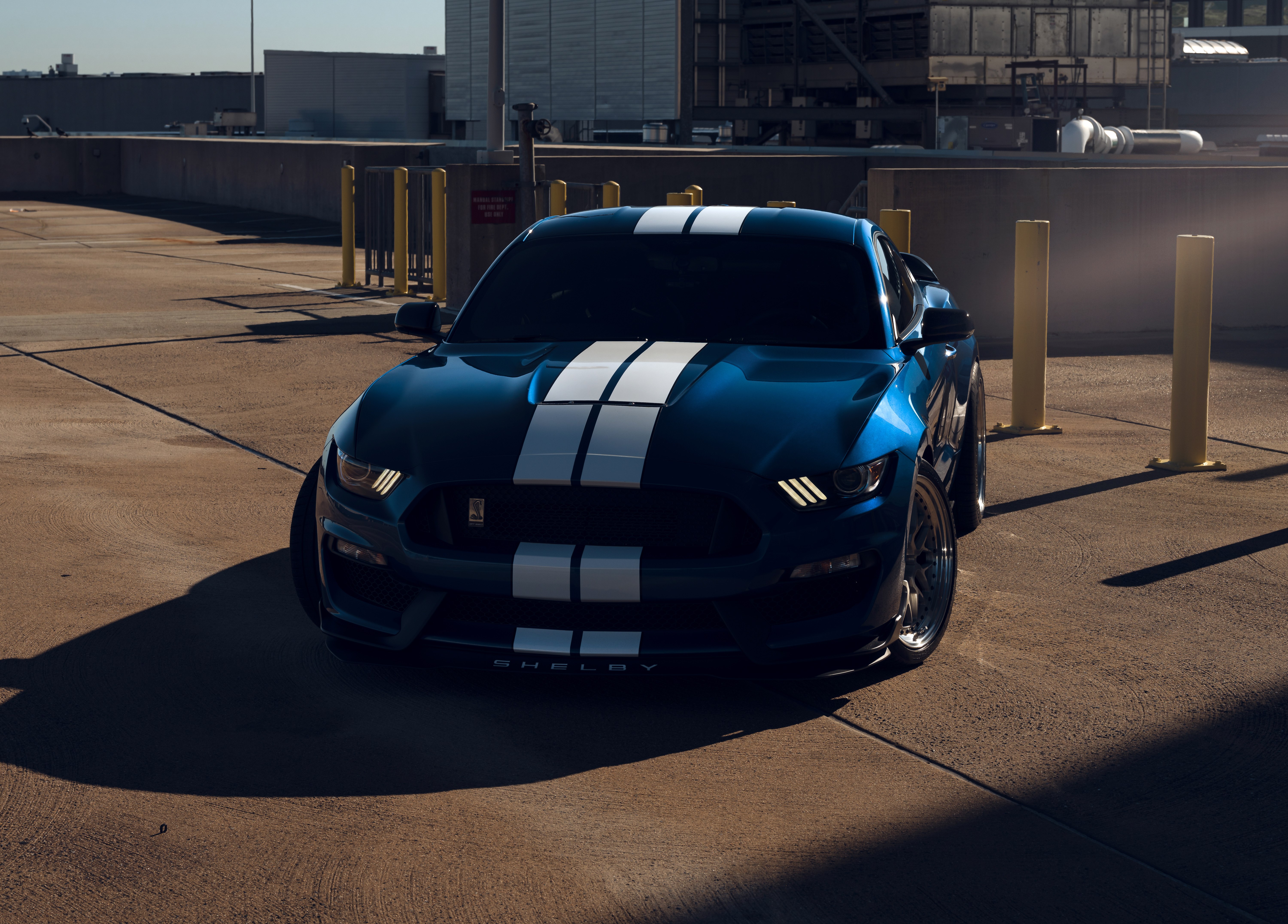 Ford Mustang Shelby GT350, Muscle cars, 5K