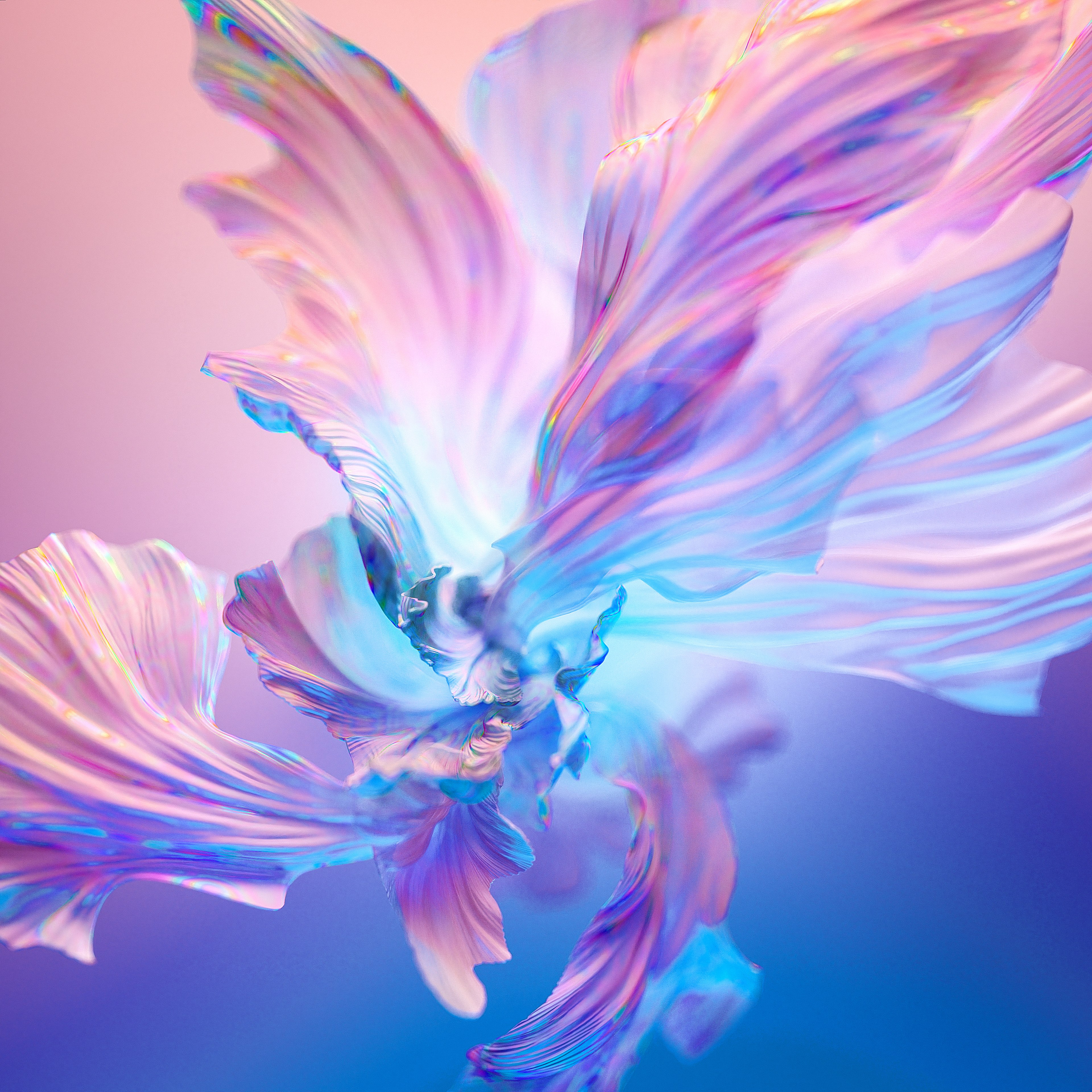 Fundo floral, Arte digital, Colorido, Fundo gradiente