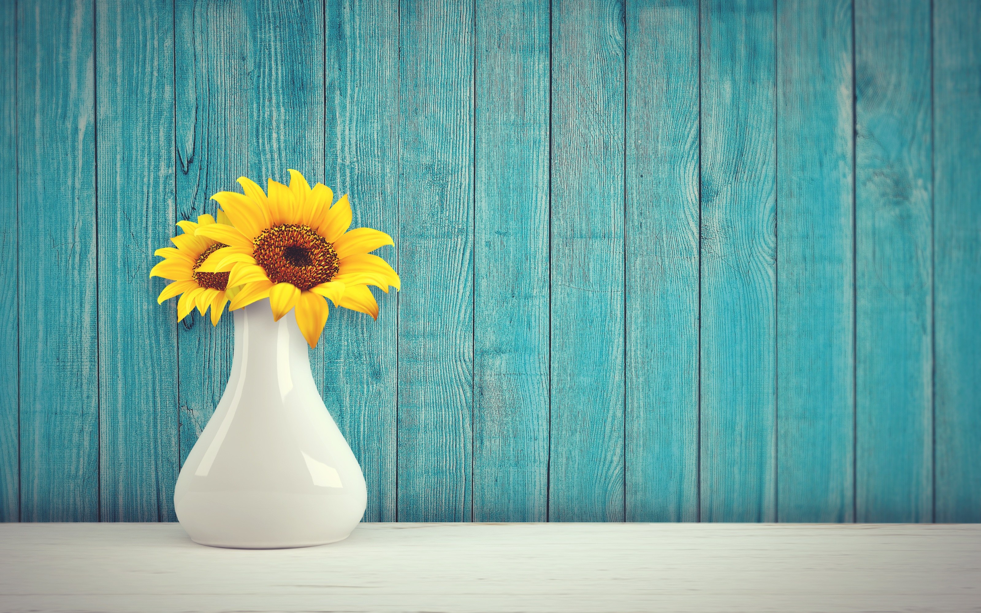 Girassóis, Vaso de flores, Fundo de madeira, Azul-petróleo