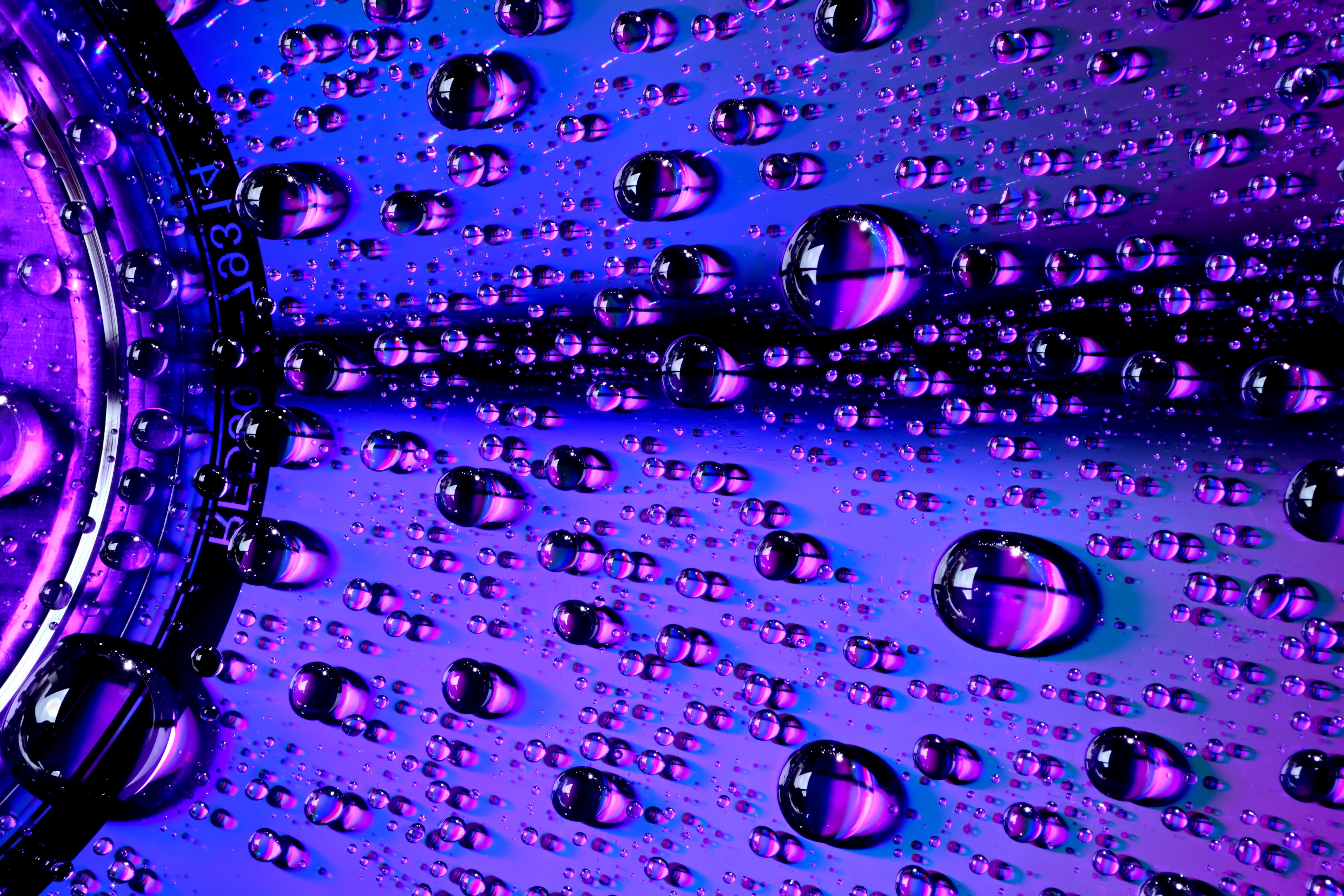 Gotas de água, Macro, Luz roxa, Close-up, CD, Vívido, Brilhante, 5K