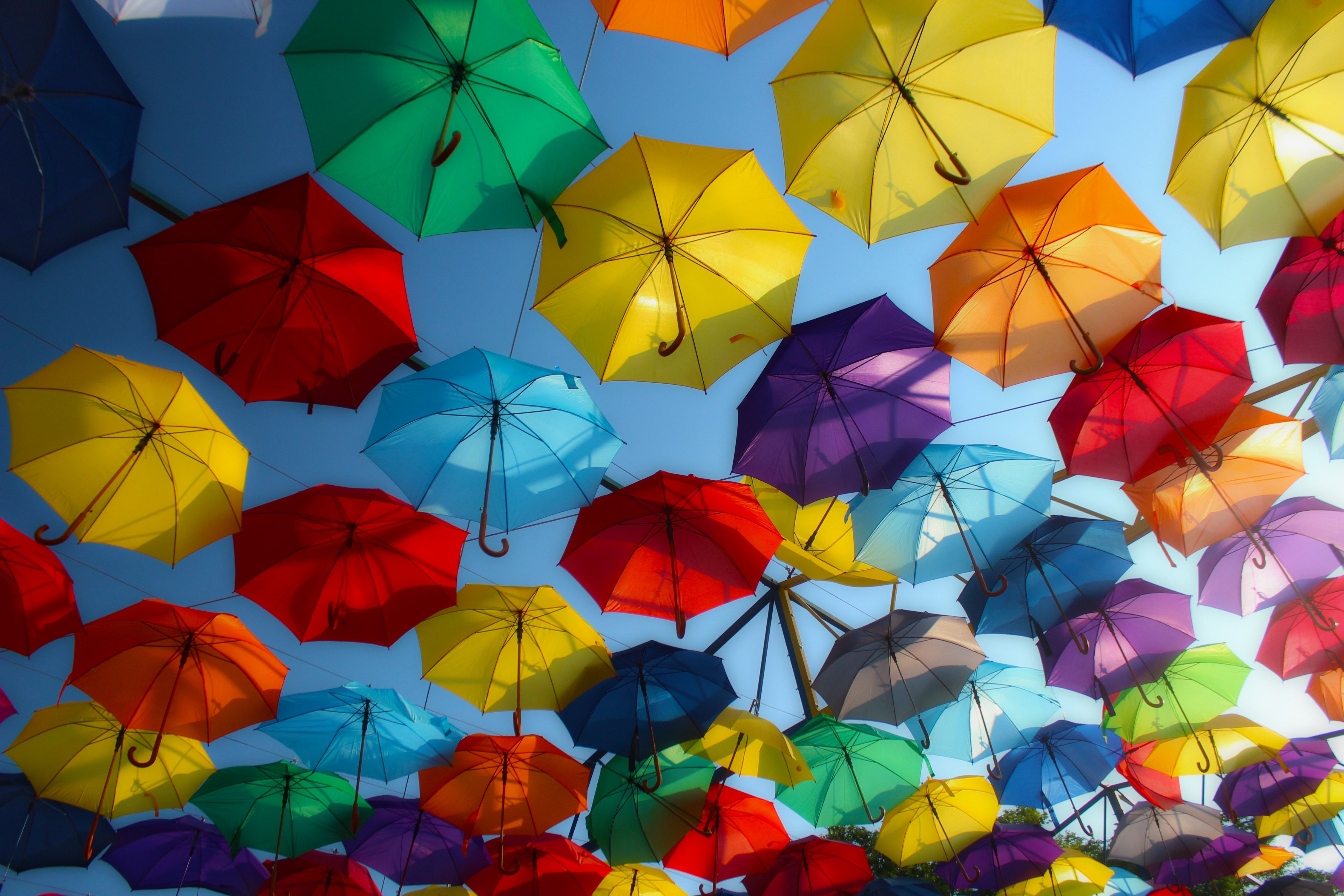 Guarda-chuvas, Colorido, Decoração de rua, Multicolorido, 5K