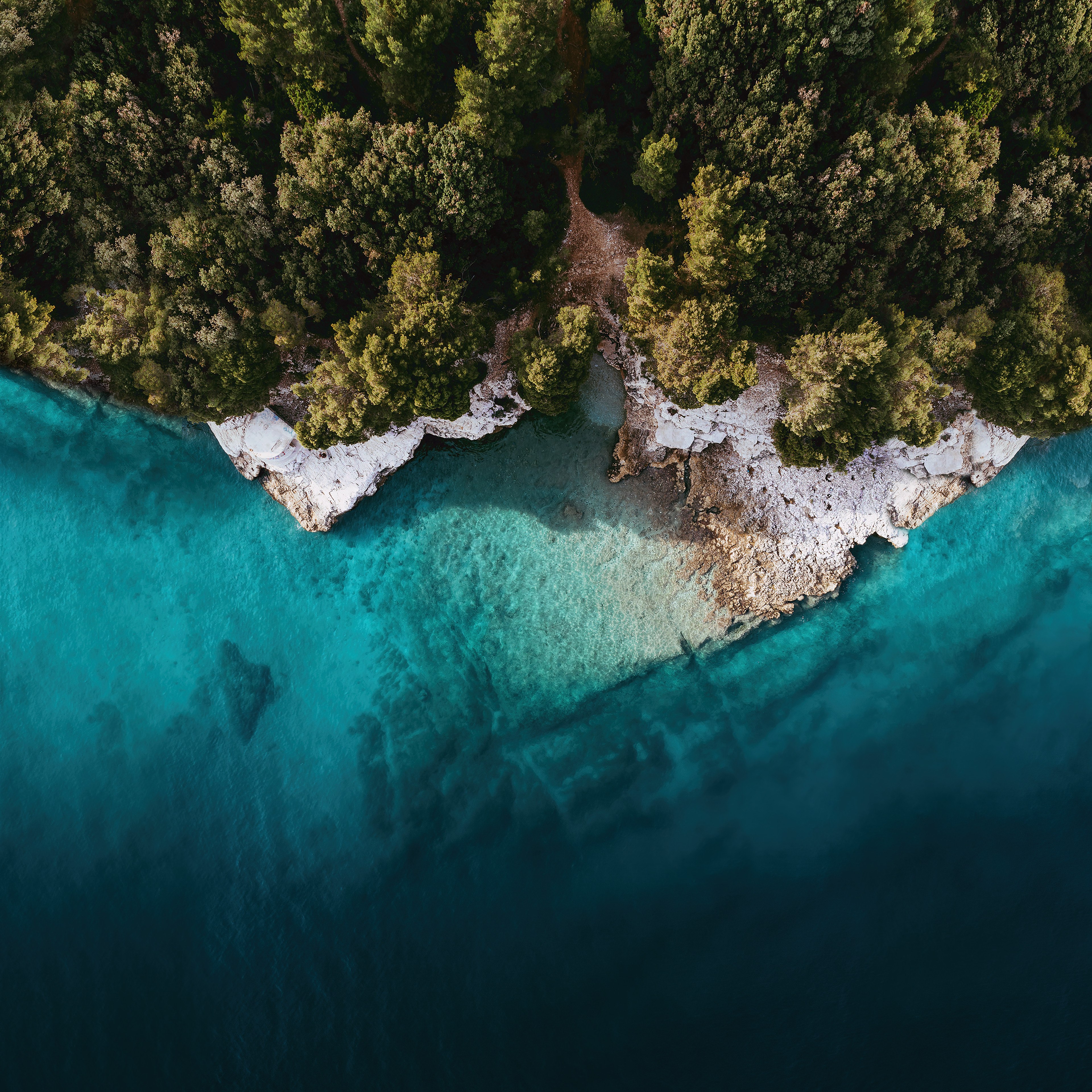 Ilha, Mi Pad 5 Pro, Vista aérea, Foto de drone, Litoral, Floresta, Árvores, Stock