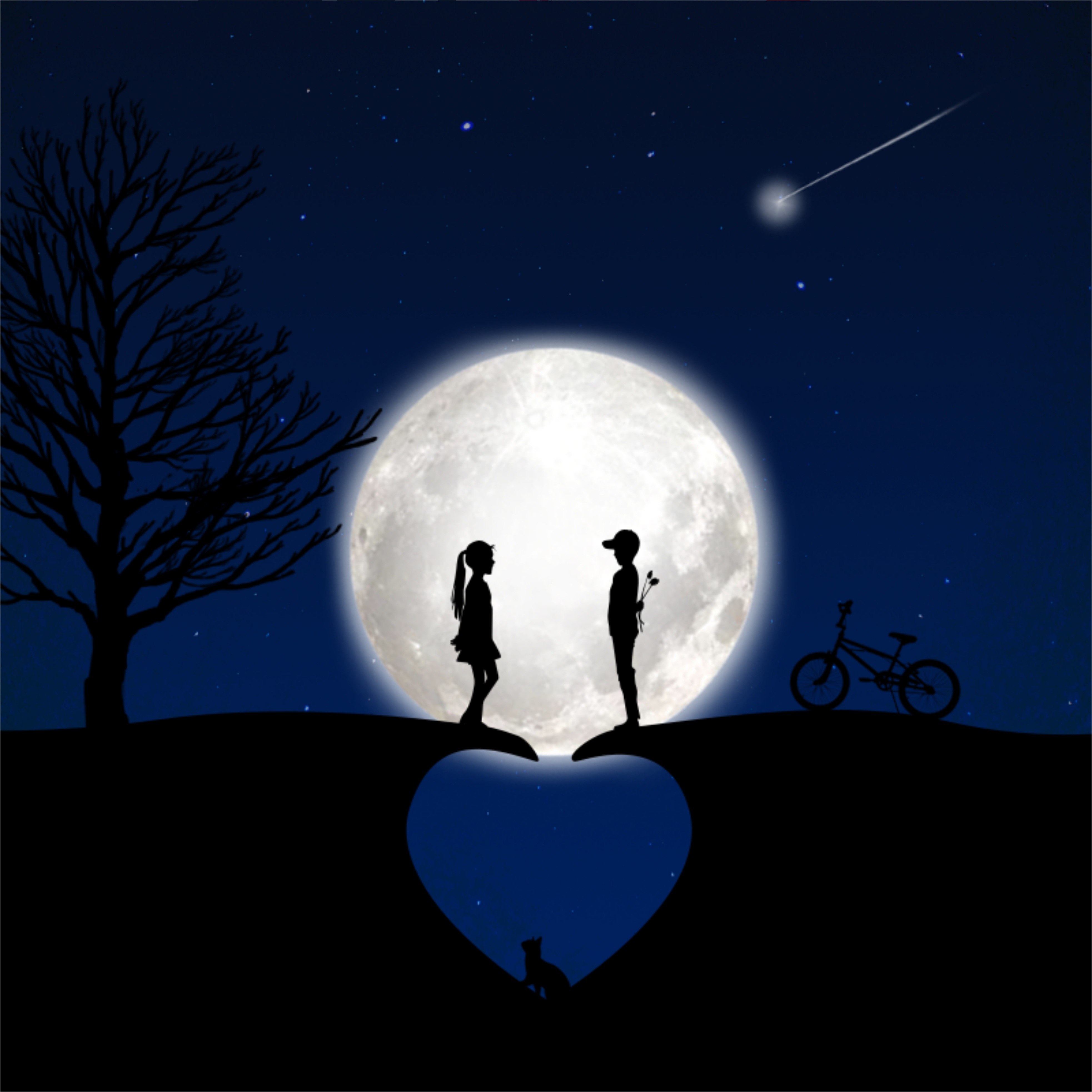 Lua cheia, Casal, Coração, Fundo azul, Bicicleta, Árvore, Gato, Estrelas, Silhueta