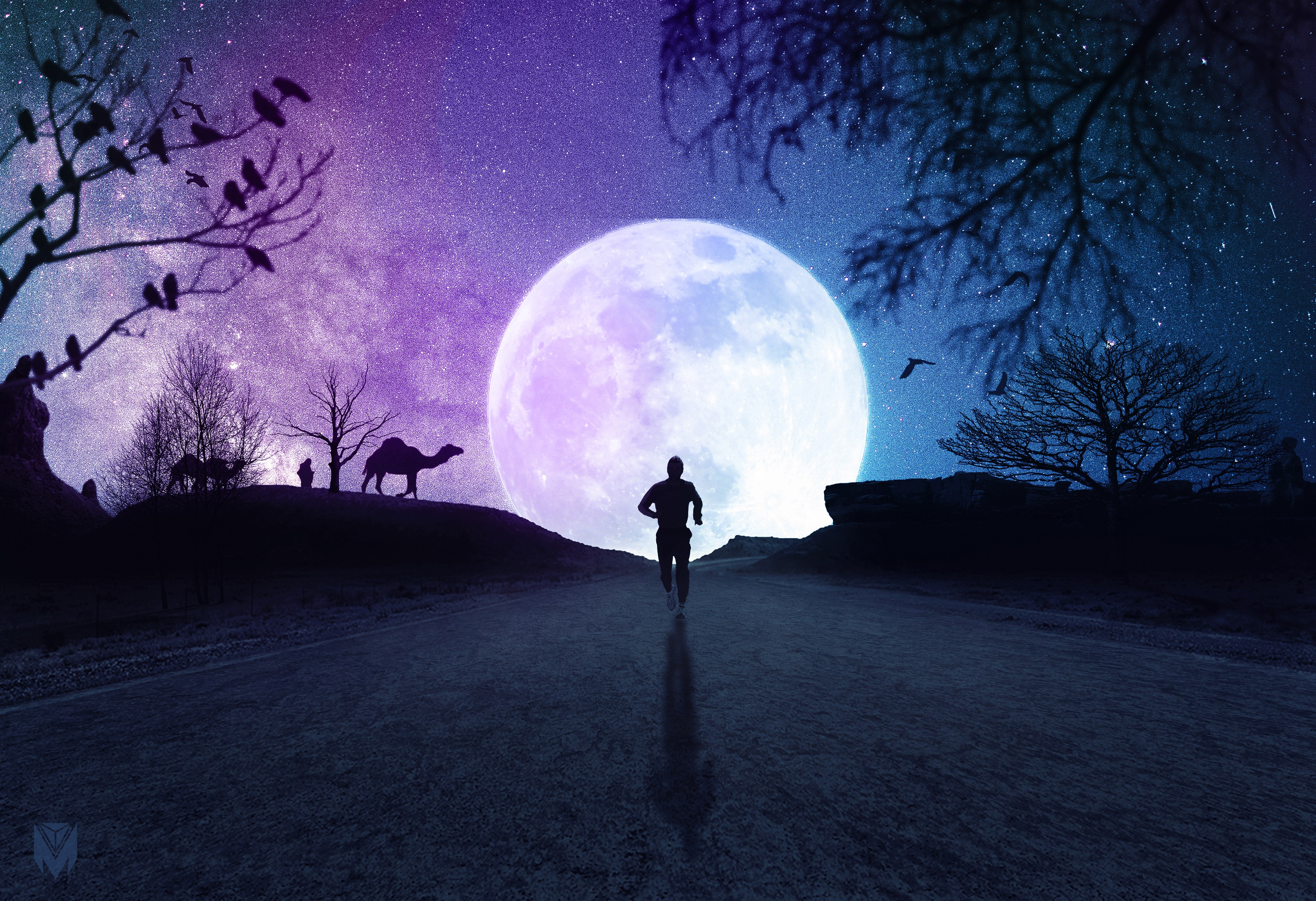 Lua cheia, Neon, Estética, Silhueta, Correndo, Céu estrelado, Noite, Estrada