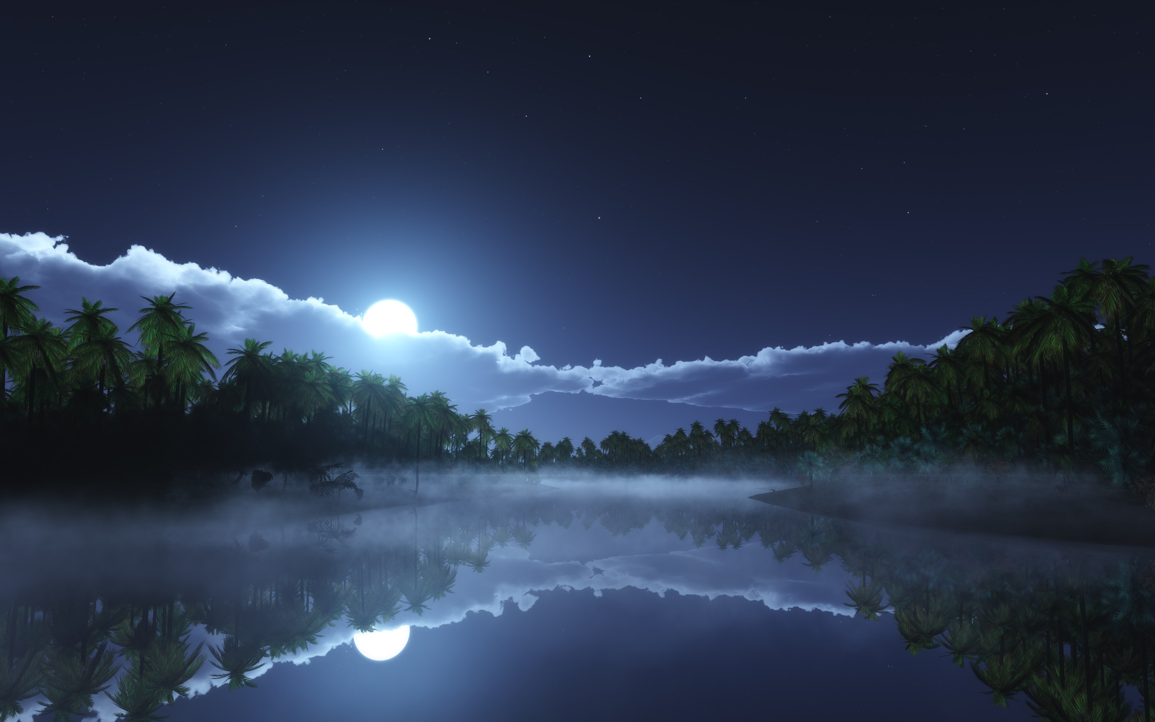 Luar, Noite, Palmeiras, Corpo d'água, Reflexo, Estrelas, Nuvens