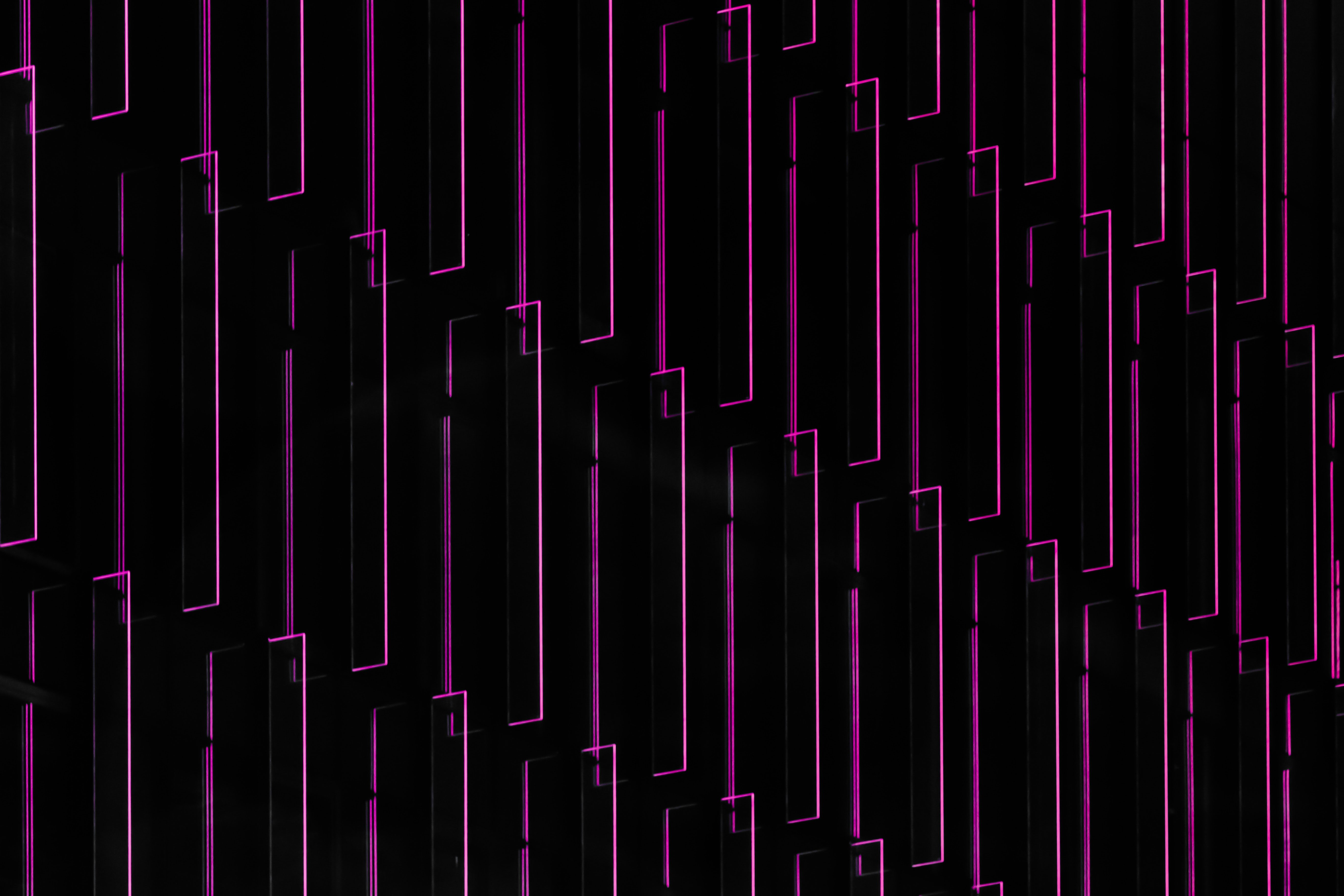 Luz roxa, Ilustração, Padrão, Fundo preto, Linhas, 5K