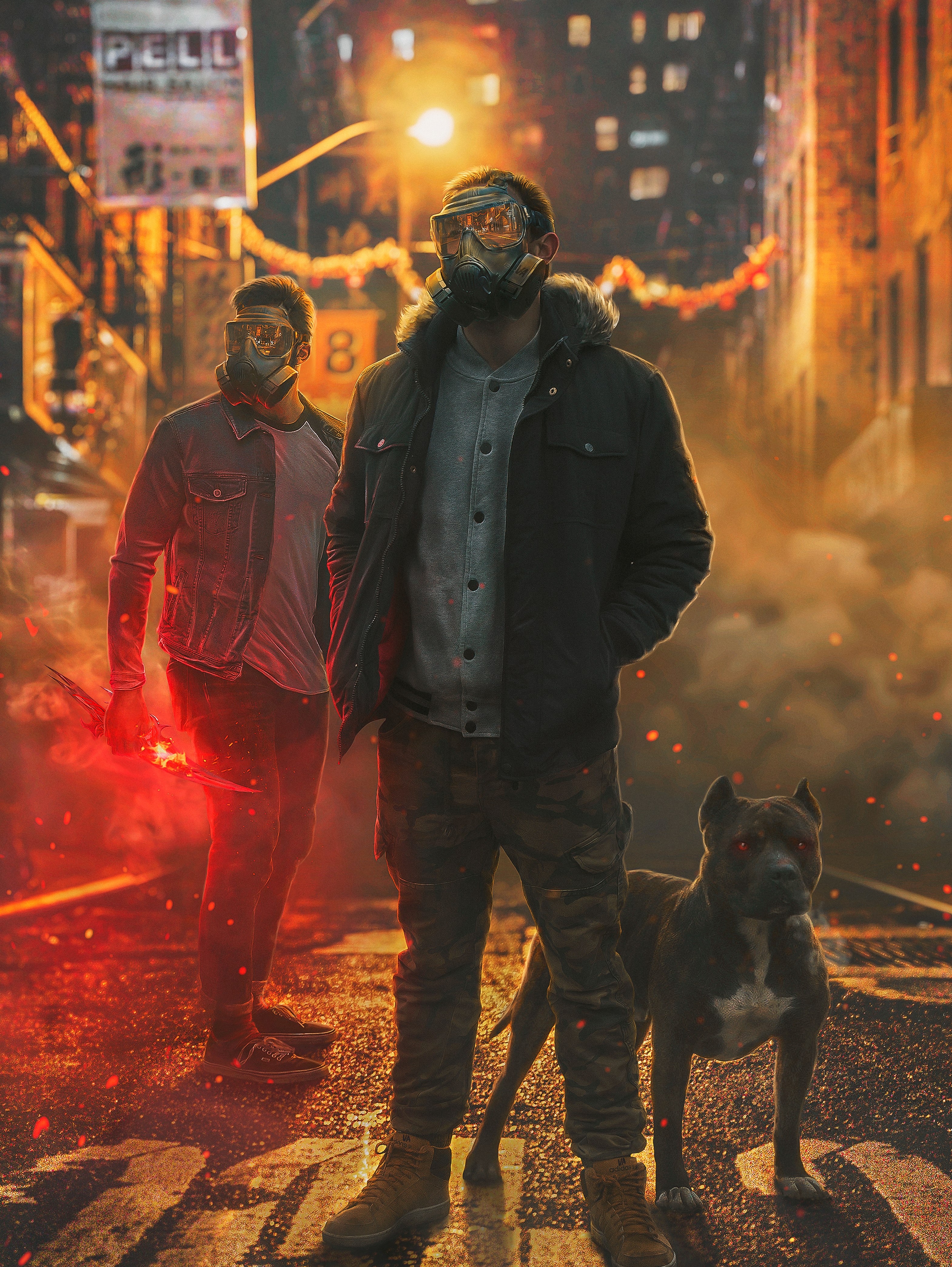 Máscaras de gás, Segurança, Cães Cane Corso, Cão preto