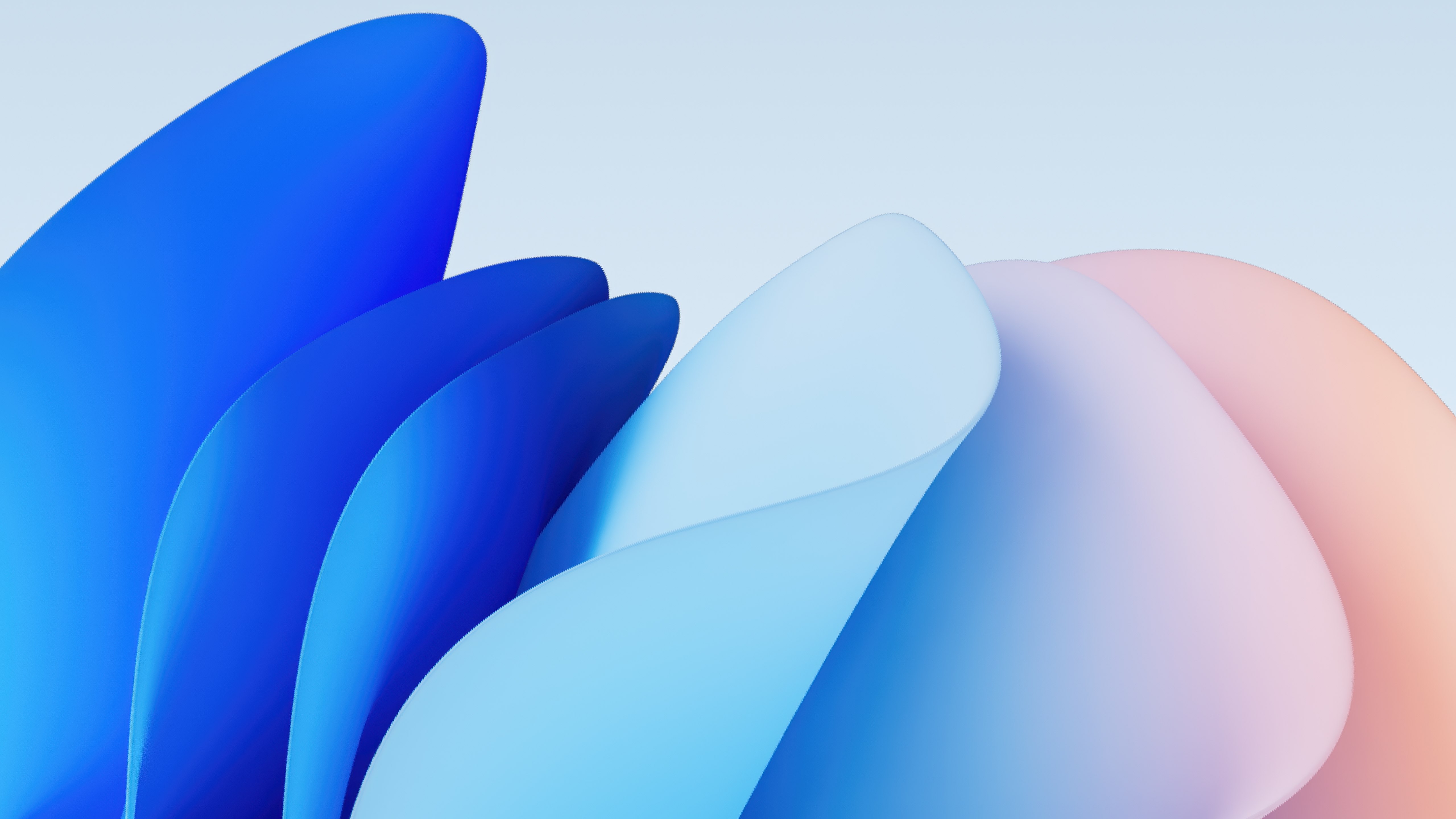 Microsoft Design, Coleção Bloom, Fundo abstrato, 5K