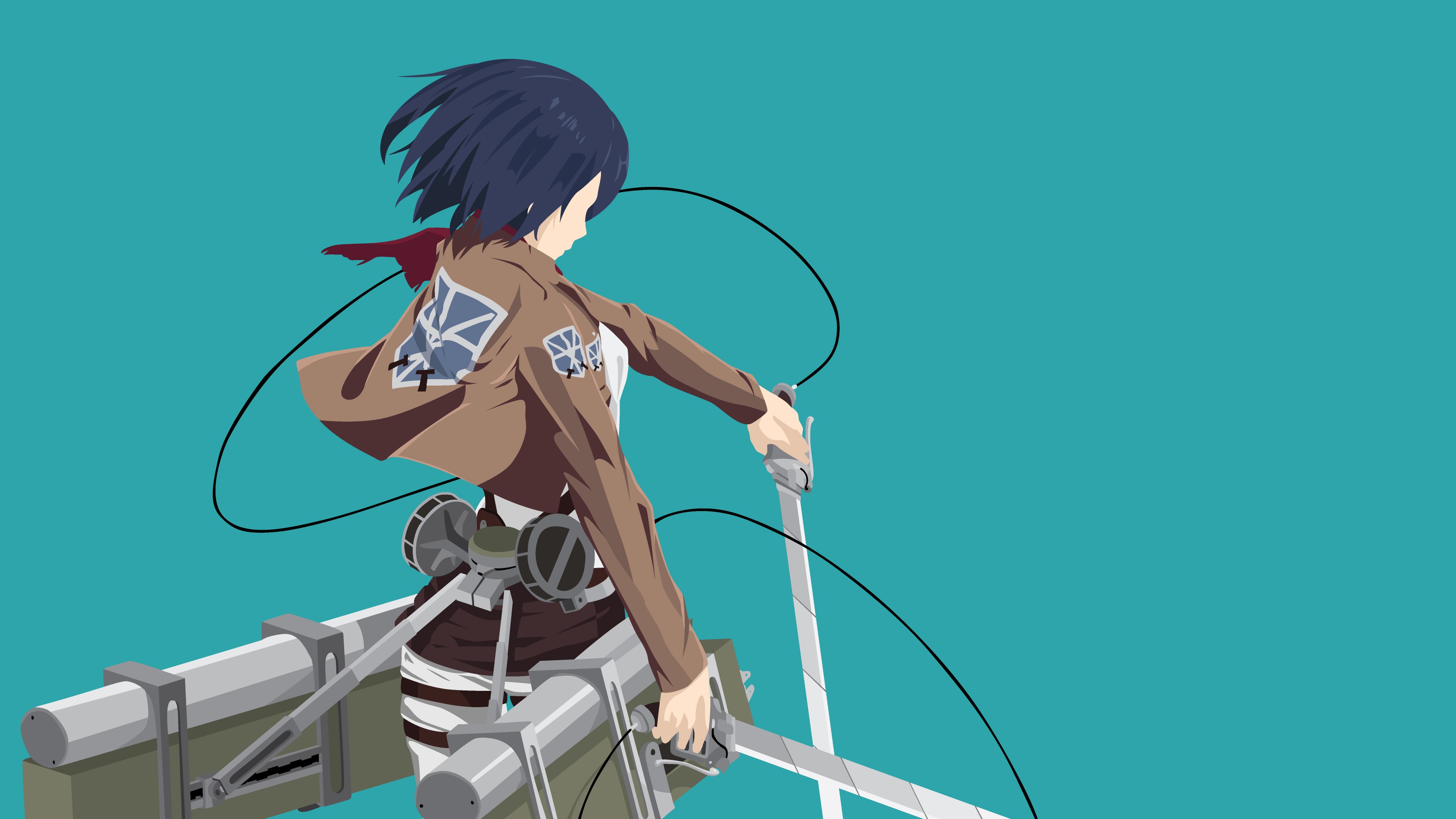 Mikasa Ackerman, Minimalista, Attack on Titan